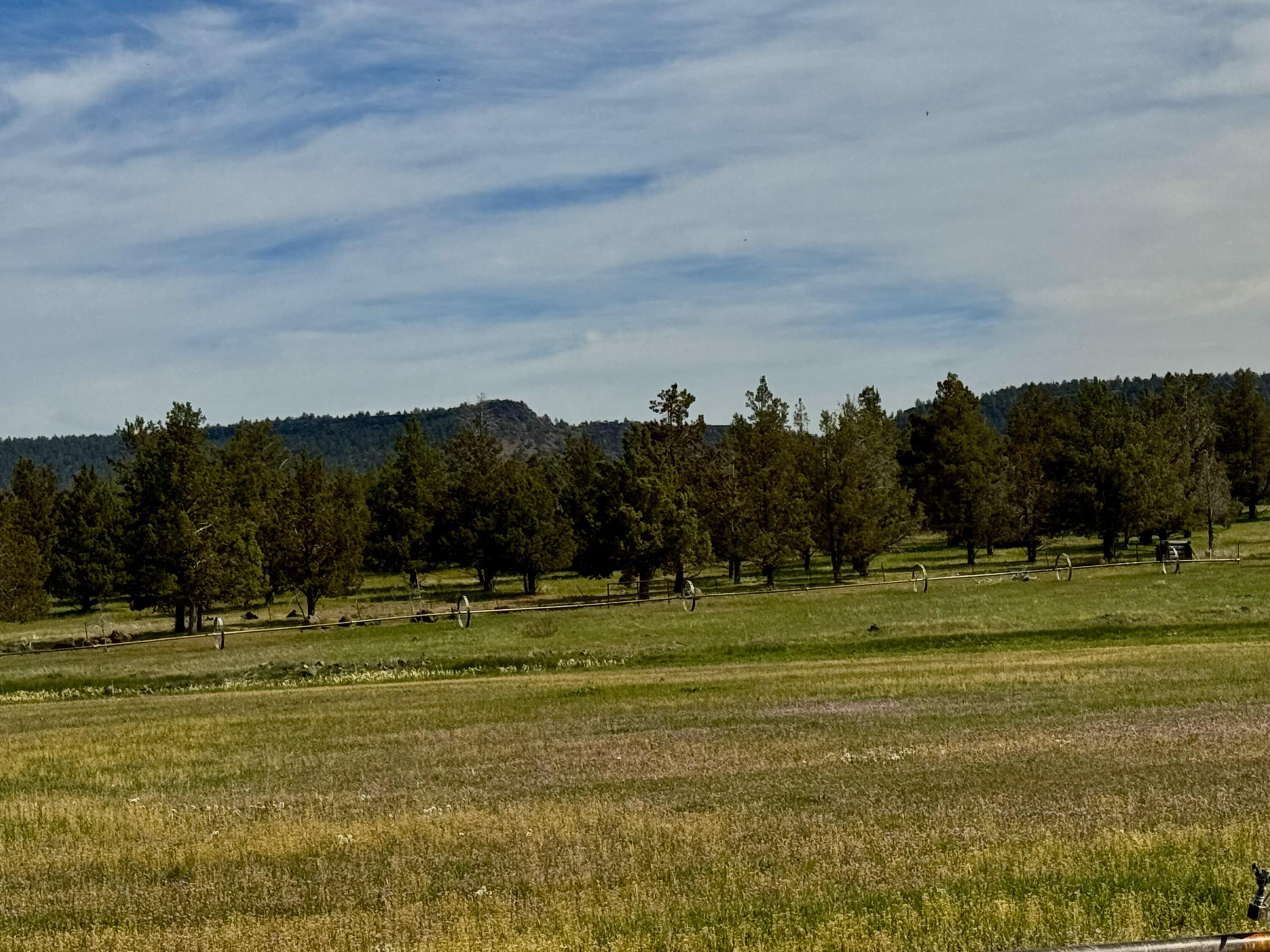 Bonanza - Farm