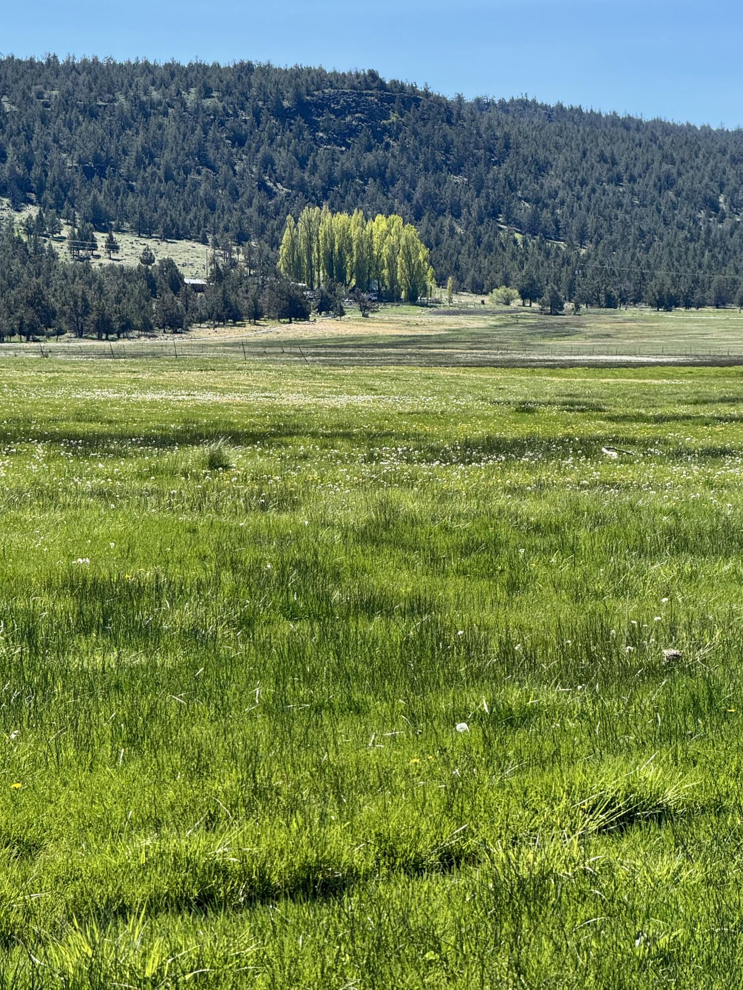 Bonanza - Farm