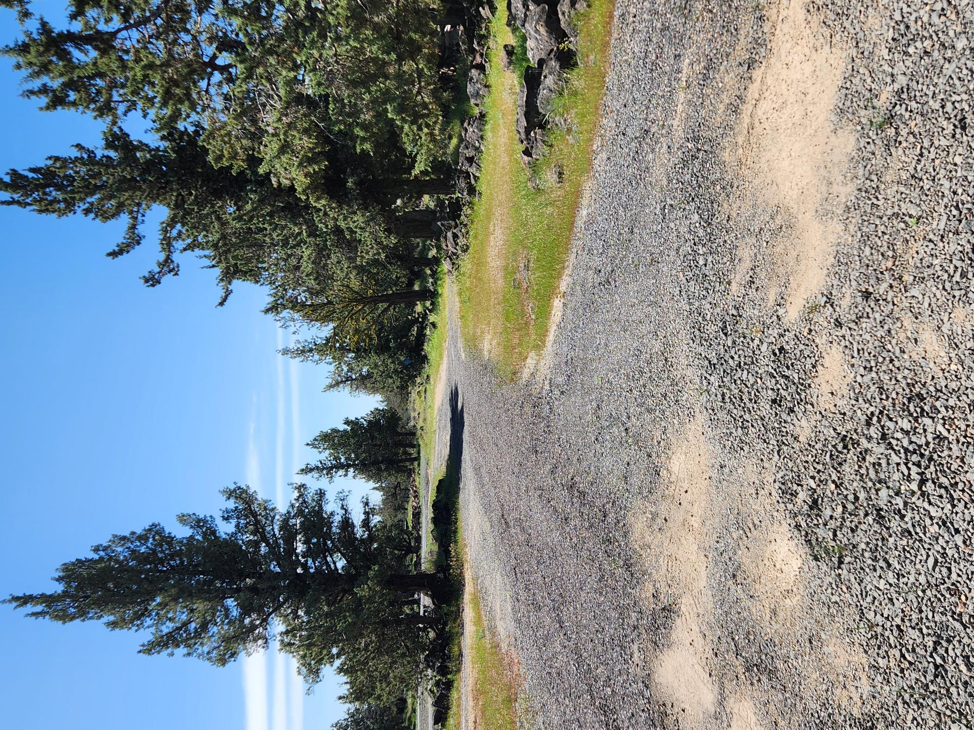 Buildable lot inside 3 Rivers Rec at end of cul-de-sac  .70 of an acre with large circular graveled driveway. Several bump out areas for trailer or car parking. Outhouse, storage shed, 1300 gallon cistern, 500 gallon propane tank rental from Ed Staub & much more. Huge asset is the 20'w X 26'd X 14'h 3-sided enclosed carport for toy storage. What a way to get property inside 3 Rivers in order to enjoy all the amenities: private access to Lake Billy Chinook, private beach area, pickleball courts, 18 hole disc & 9 hole desert golf course, Event Center,  Rec Hall, 2500 ft.  paved airstrip OG00, high-end shooting range & much more. Don't miss this opportunity---call an agent today to book a showing.