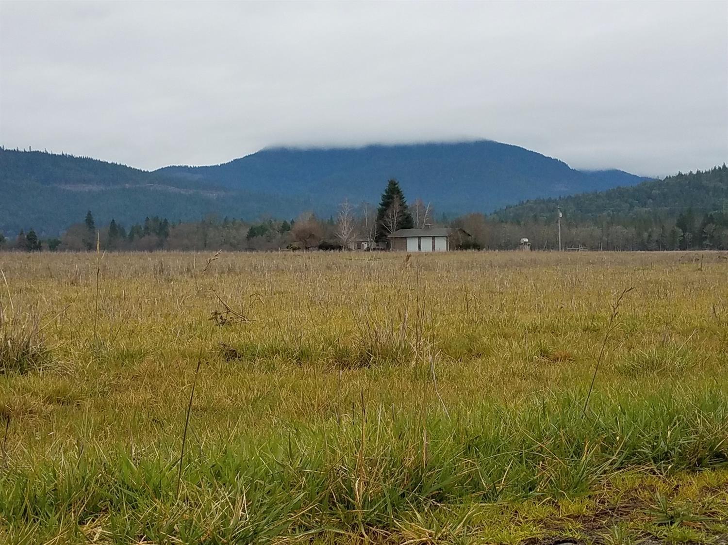 This property offers a multitude of opportunities in the Agricultural arena. Over 200 acres of level and usable land, 130 with water rights! This property comes in five separate tax lots in the Illinois Valley and perfect for a vineyard, hay, grazing cattle, and more. Property comes with a large three door shop/equipment shed along with a 1992 single wide manufactured home for a caretaker. The pastures are all fenced and cross fenced at this time but there are endless opportunities as to what you could do with this jewel.