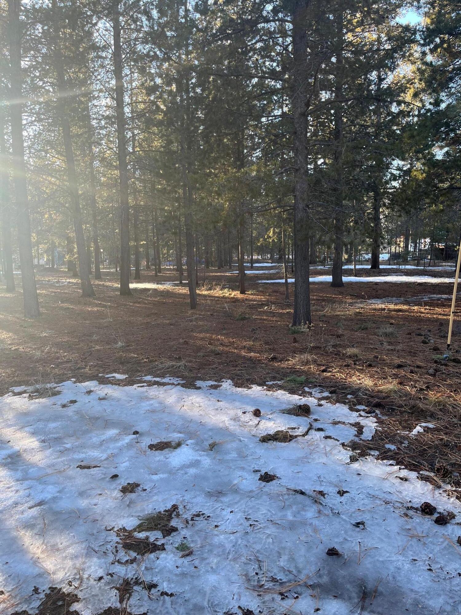 Crane Prairie Est - Residential