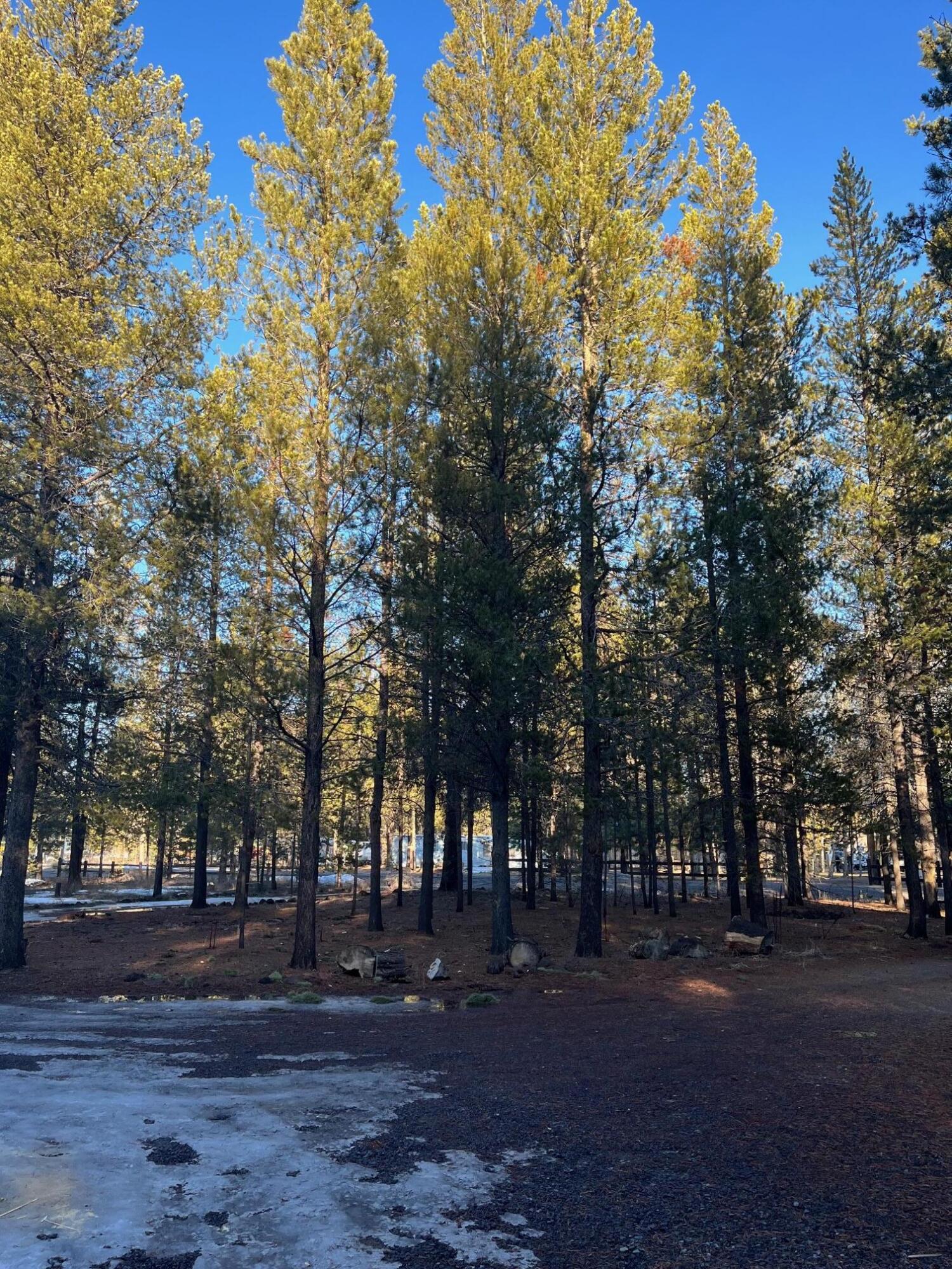 Crane Prairie Est - Residential