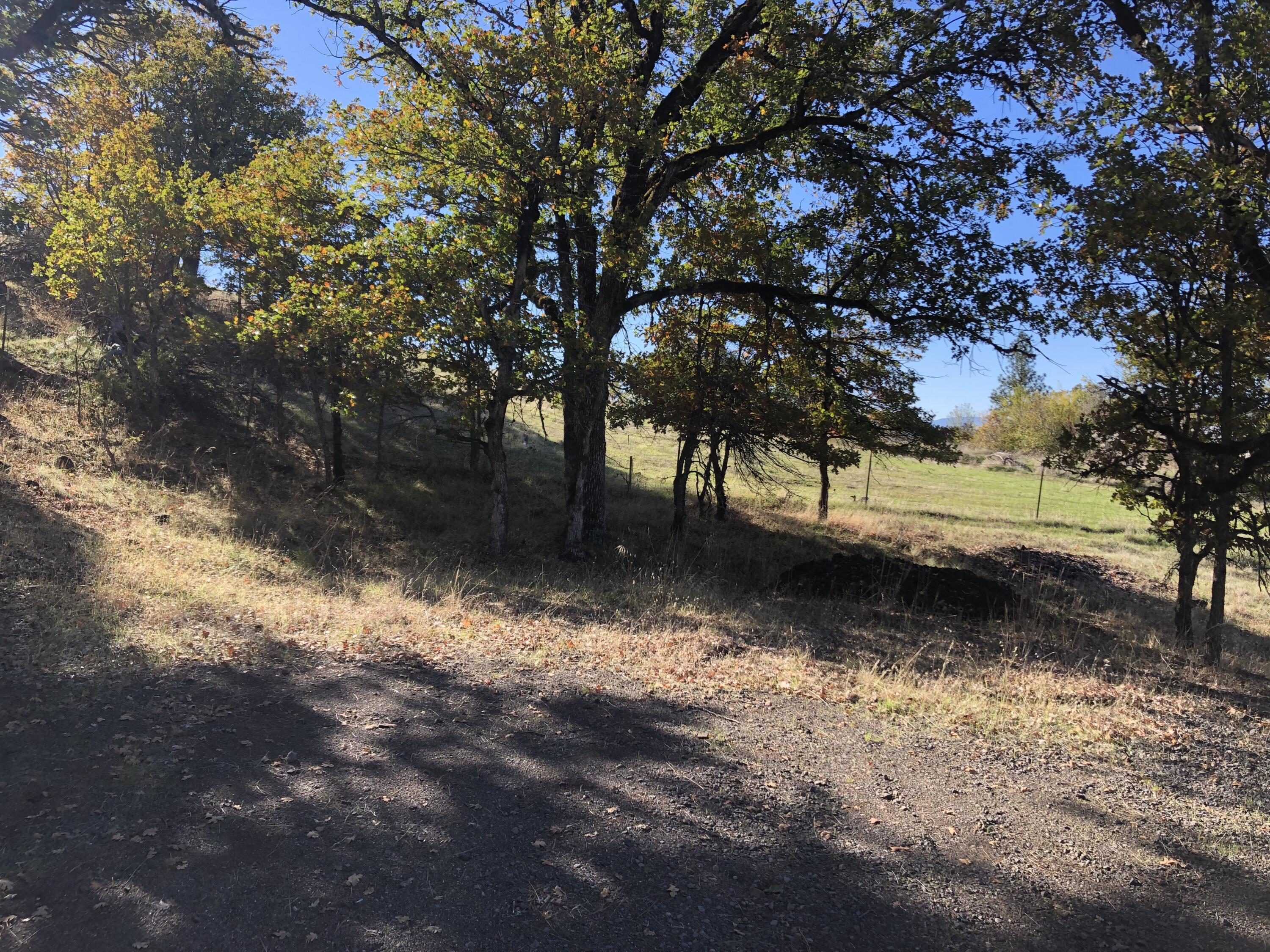 If you are looking for a great view lot with privacy from neighbors? This ½ + lot is it! No through traffic makes this a very quiet building site on a paved road. Special features include community water, sewer, power and even irrigation water to the property. Water, sewer and irrigation billed separately in addition to the monthly fee of only $35 for the association fee. Manufactured homes are allowed that are at least 1300 sq. ft. and must have a 2 car garage. An outstanding value in Shady cove.