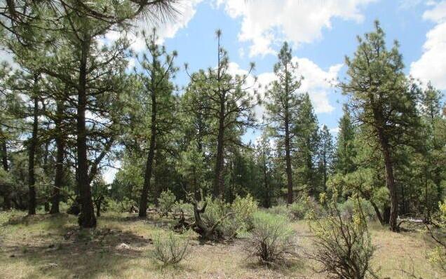 Klamath Country - Land