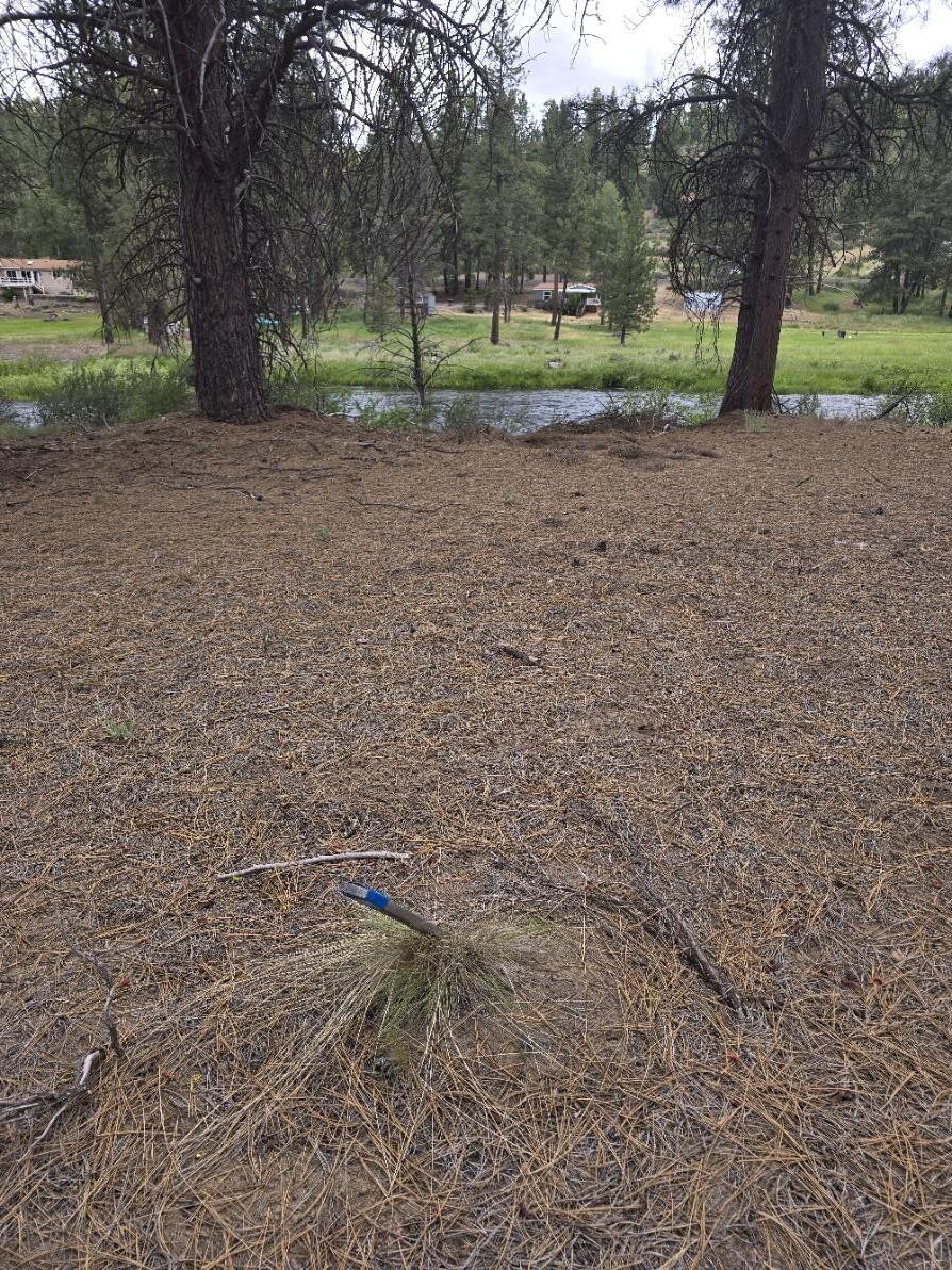 Sprague River - Land