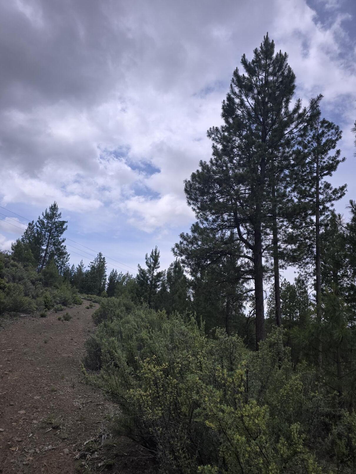 Sprague River - Land