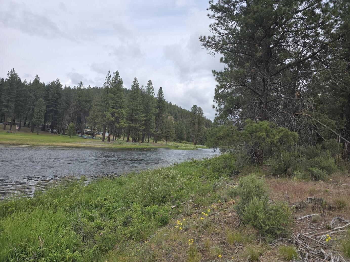 River Front Property! With approximately 92 acres divided into 72 individual lots, there's significant potential for residential development, particularly given the paved road access and river frontage which can attract buyers looking for scenic views and recreational options. Being near Chiloquin, Oregon, means that you could tap into the market for those looking for peaceful, rural living while still being relatively close to urban amenities. Additionally, the presence of a well and nearby power makes the development process more feasible.  There are 11 lots with river access. Property is bordered by Winema National Forest on two sides. Buyers to do their own due diligence  in regards to power easements and flood zone.