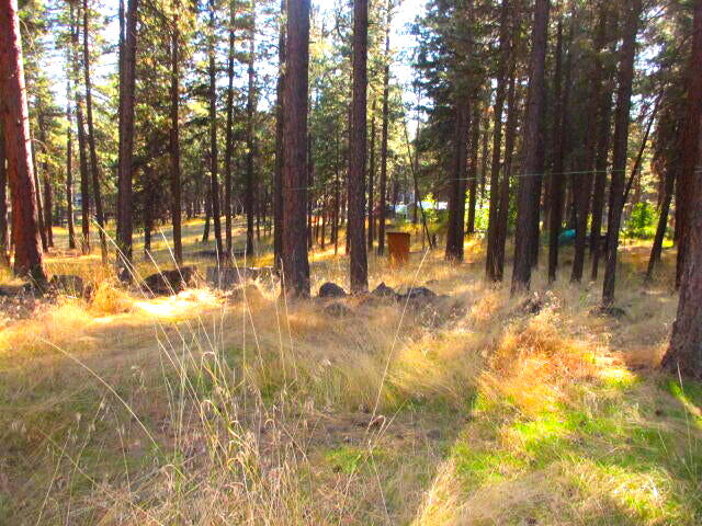 Klamath River Acres -First Addition - Residential