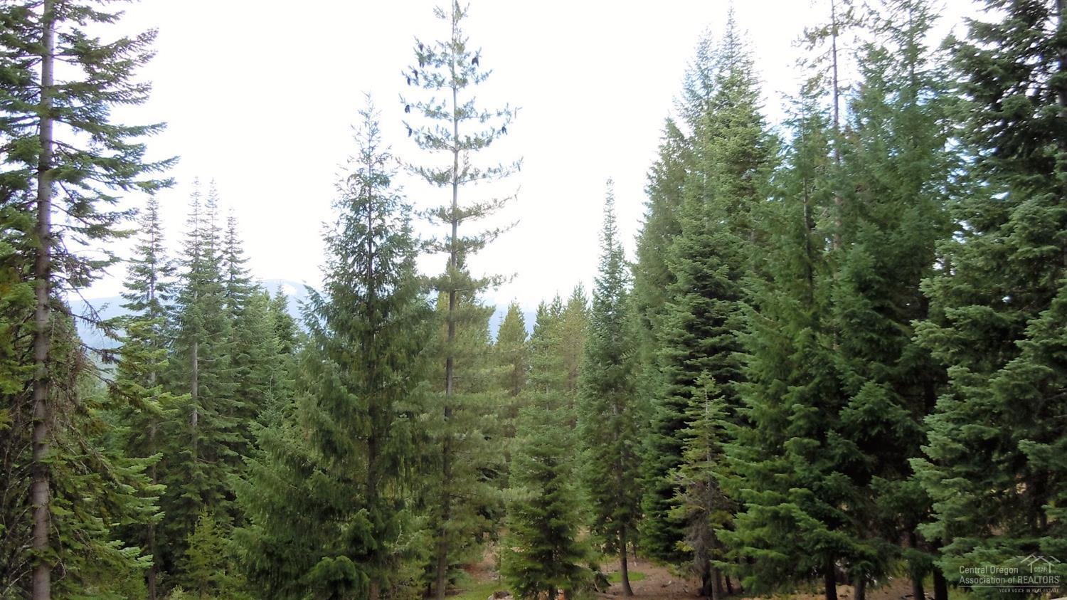 Excellent building site in Diamond Peaks. On the corner of Elk Haven Way and Snow Cap. Views of Crescent Lake and Cascade mountain range. Close to both Odell Lake and Crescent Lake. Tons of trails for outdoor enjoyment along with Willamette Pass Ski Area nearby for winter fun. Possible Owner Terms!!