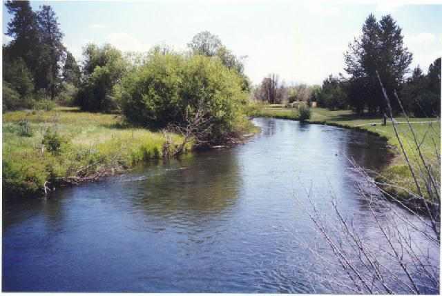 Approximately 2240 Ft Of Wood River Front! Will Qualify For Lotof Record Cup; Build Your Vacation, Cabin, Or Lodge On This Rare Piece Of Trophy Trout Fishing River In Ft. Klamath