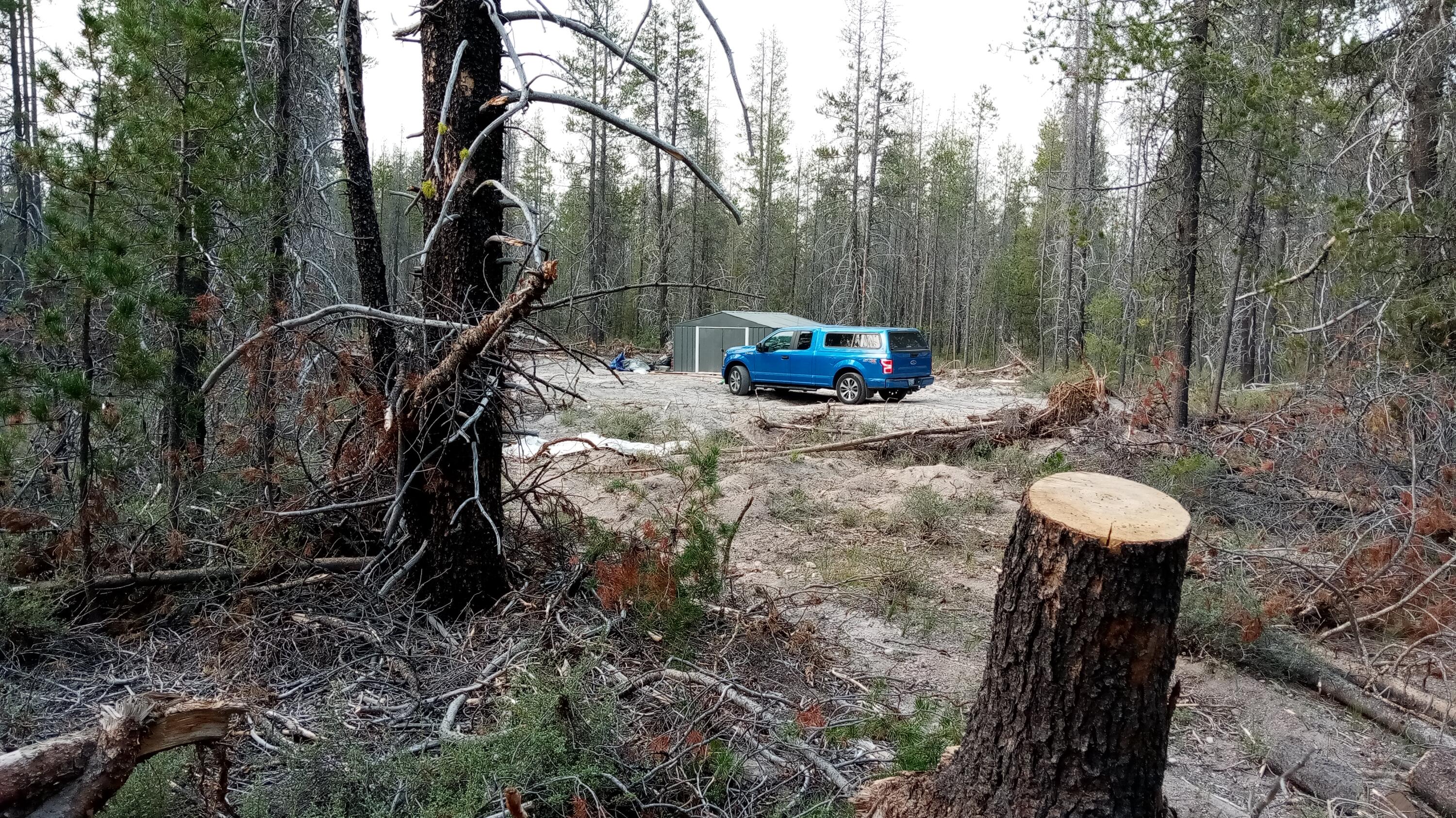 Mt. Scott Meadow - Land