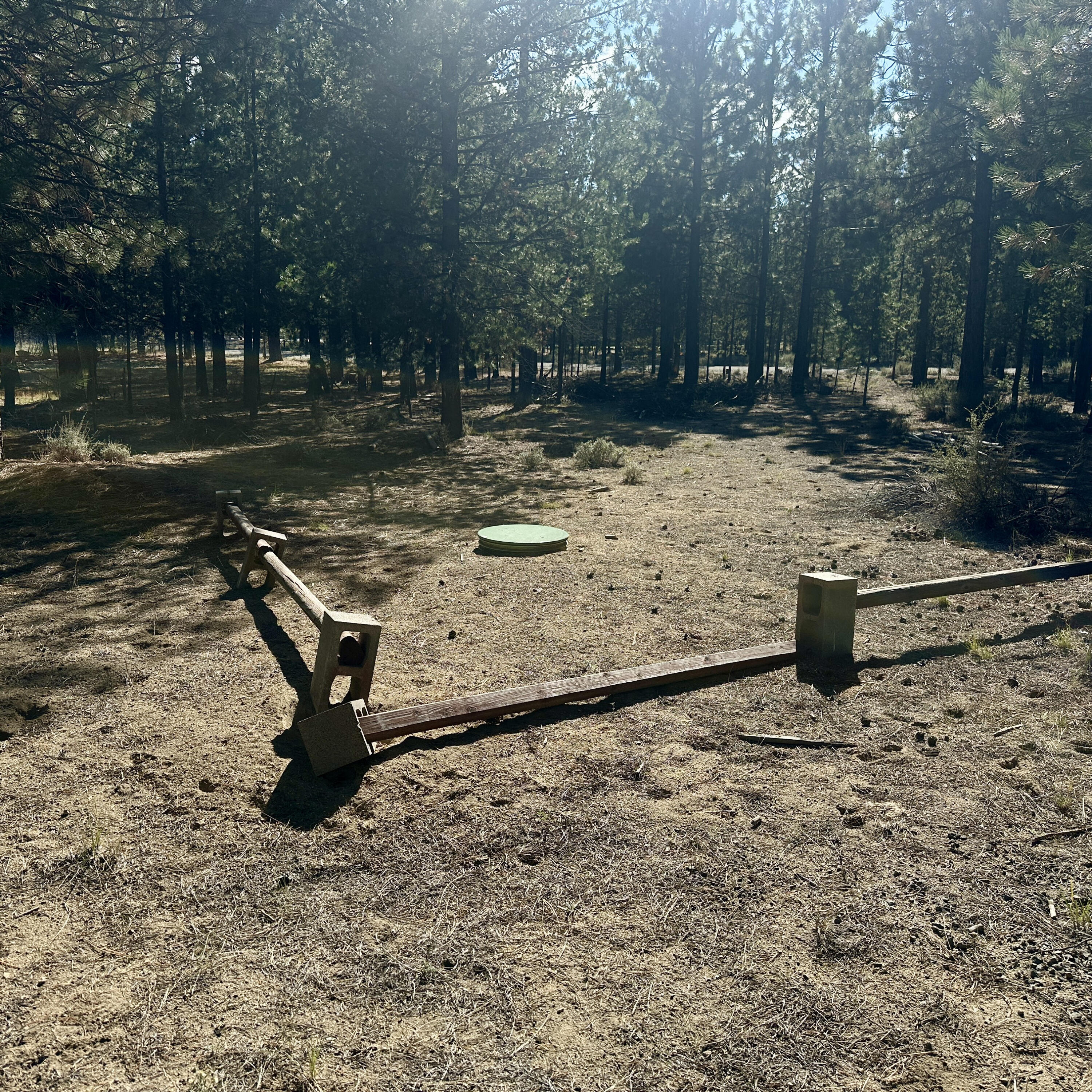 Forest View - Land