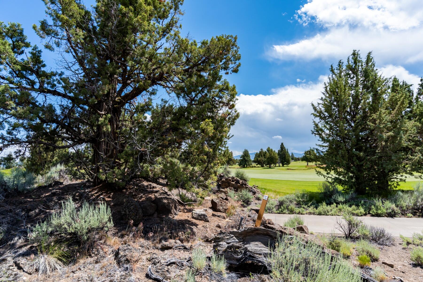 Pronghorn - Land
