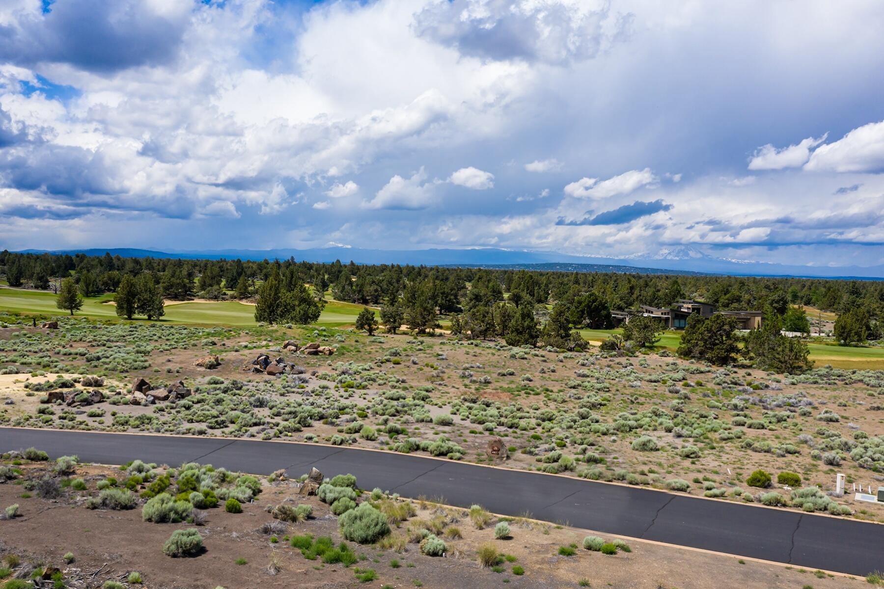 Pronghorn - Land