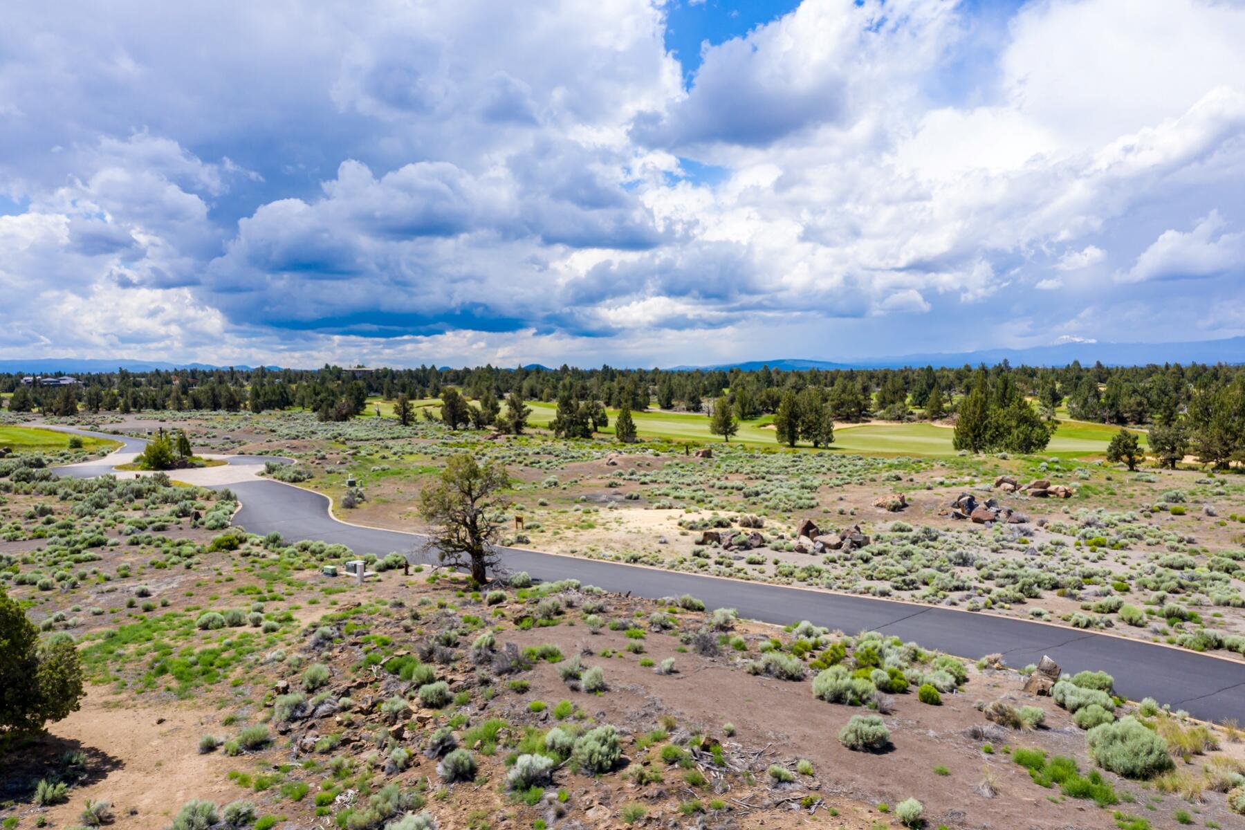 Pronghorn - Land