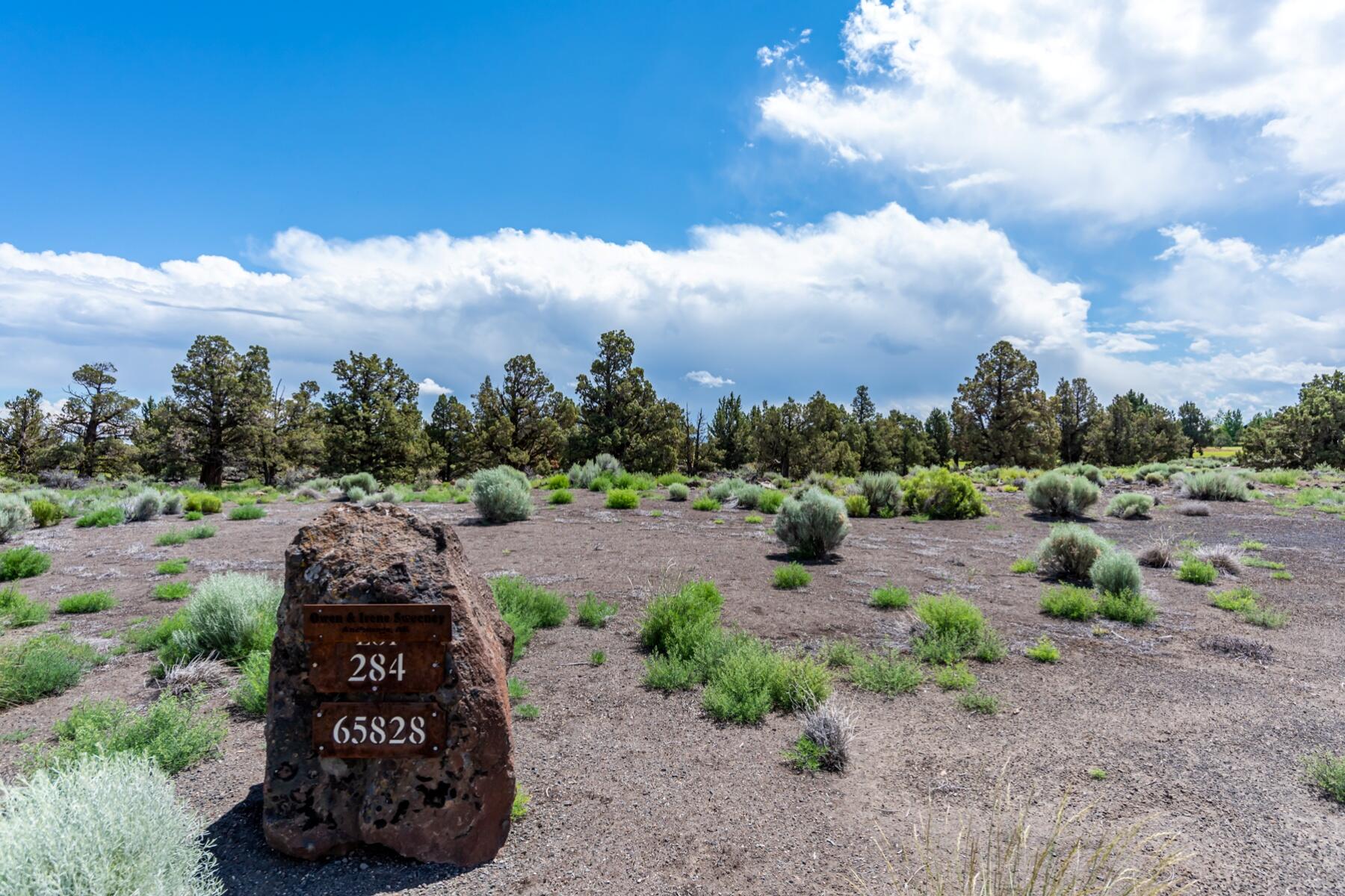 Pronghorn - Land