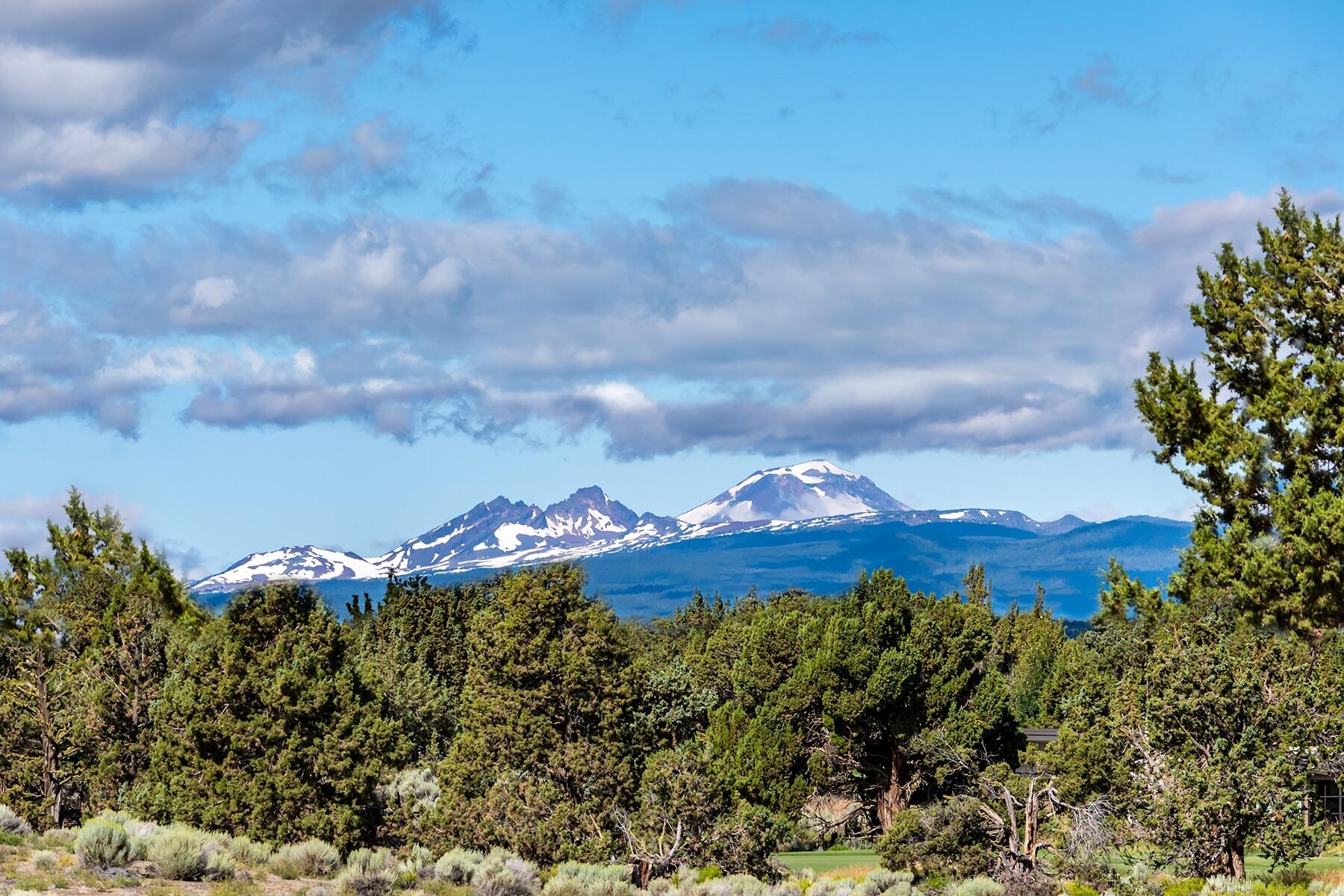 Pronghorn - Land