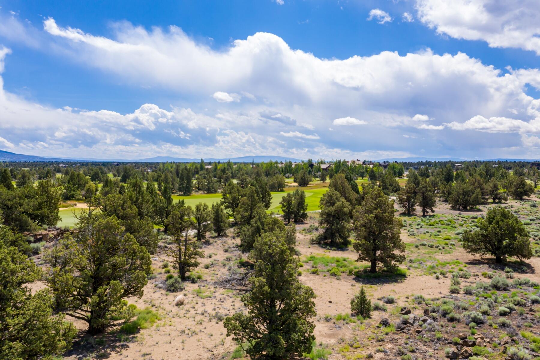 Pronghorn - Land