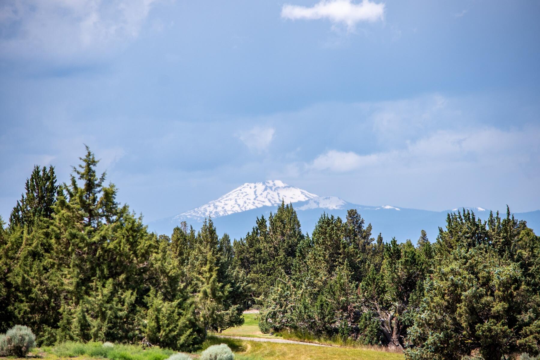Pronghorn - Land