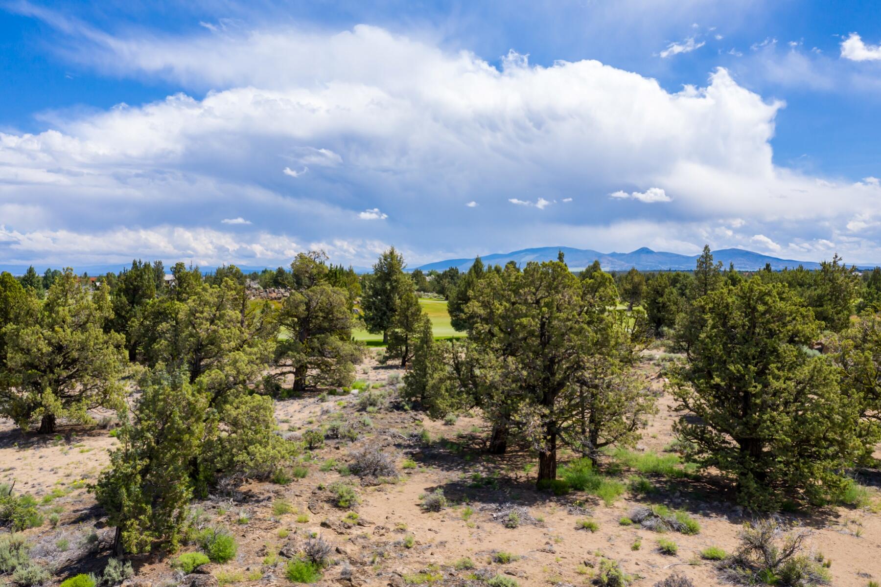 Pronghorn - Land