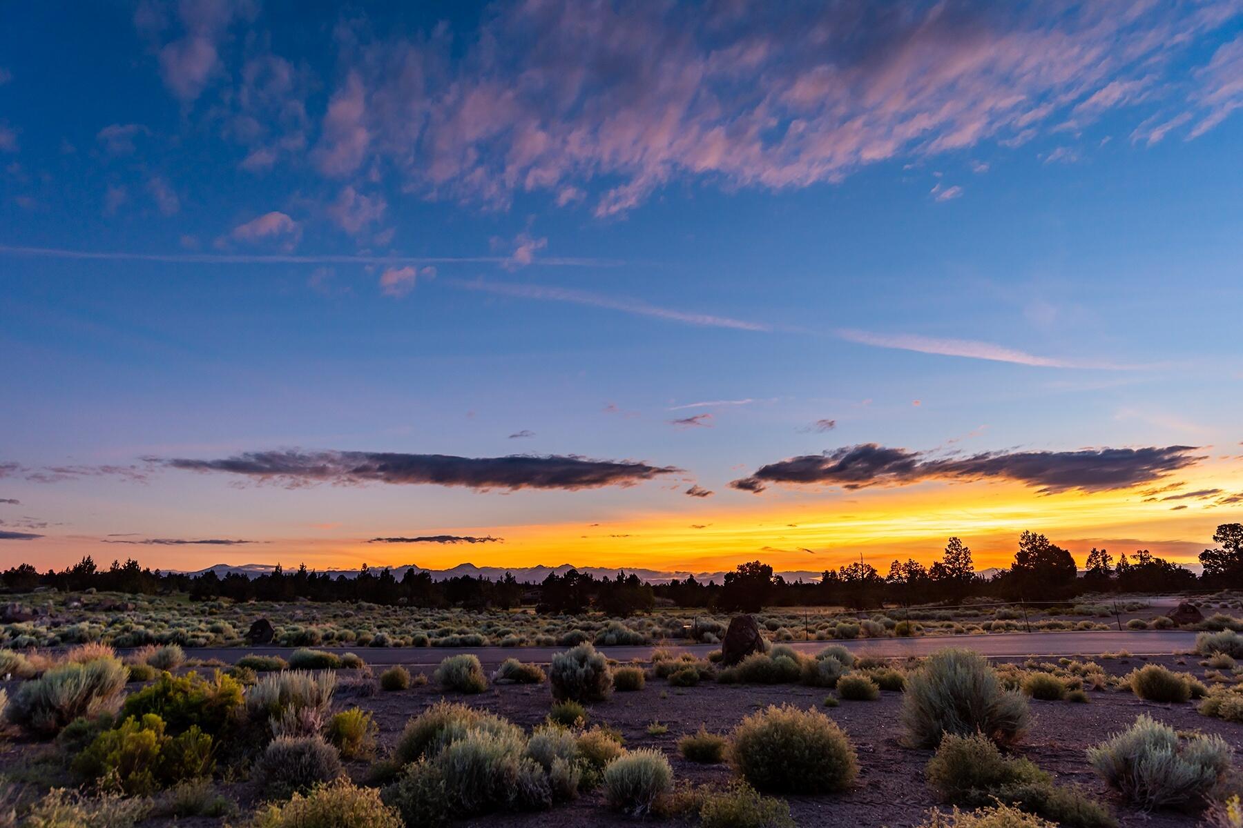Pronghorn - Land