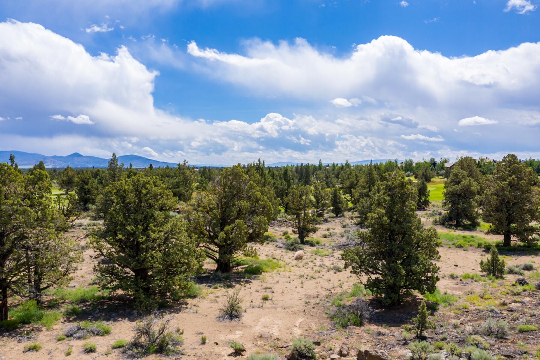 Pronghorn - Land