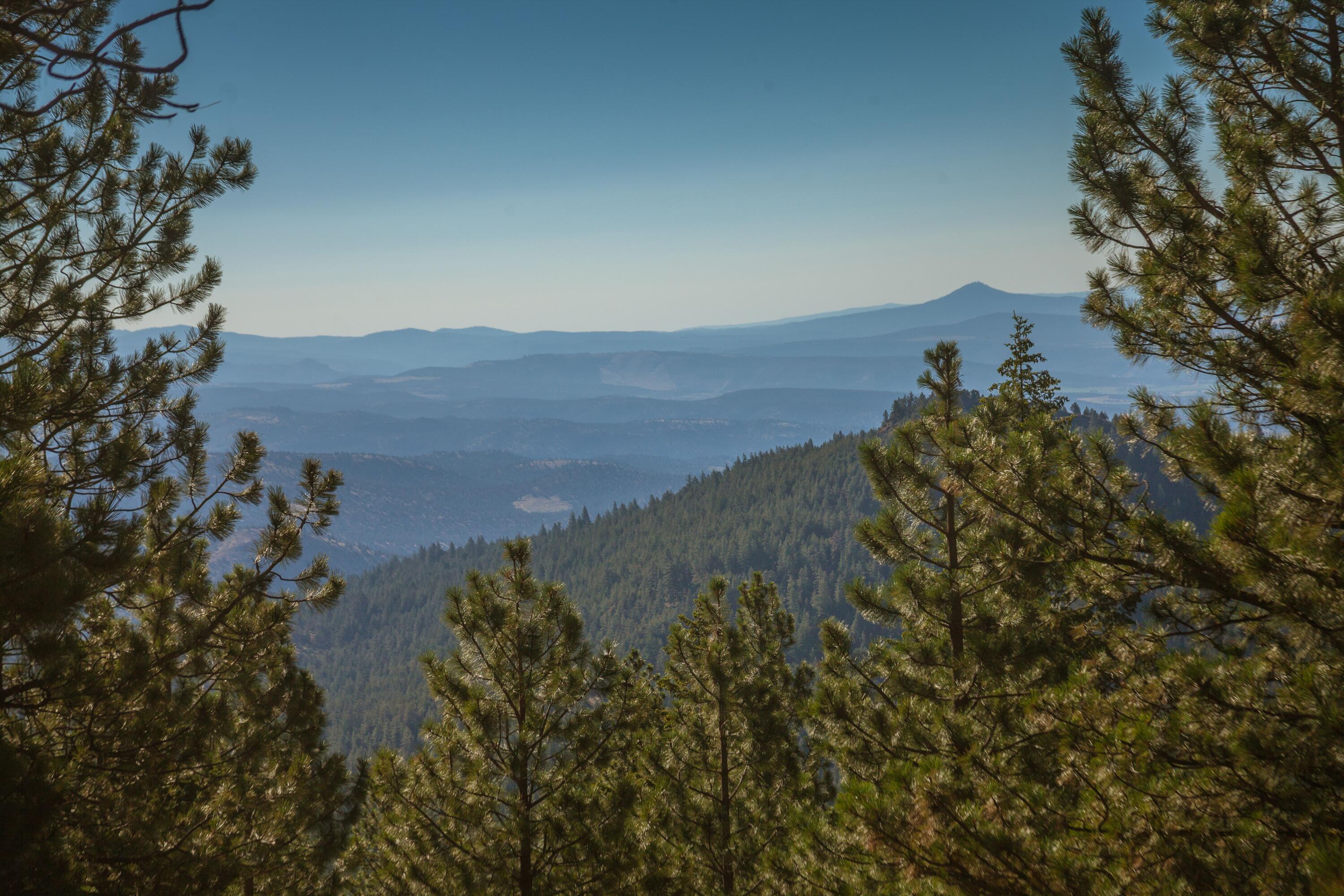 An extremely private piece of land, yet just a short driving distance from everything central Oregon has to offer, including less than an hour from the Bend/Redmond commercial airport. This great timbered parcel is part of the most western region of the Ochoco Mountains. This 2,118± acre tract of land offers excellent hunting, Kuman & Allen Creek frontage, timber cover, & tremendous views. A rare offering, it has many outstanding attributes, including 3 LOP tags (buyer to confirm with ODFW). Located in the Grizzly Hunting Unit, the area is well known for its excellent big game hunting, mostly comprised of larger landownerships. Rocky Mountain elk, mule deer, black bear, mountain lion, bobcat, coyote, turkey, & grouse are just some of the species that choose this private remote land to be their home. With easy access from Lofton Creek & Allen Creek Road, this is the perfect hunting & outdoor retreat. Additional adjoining acreage available. Call listing agent for details.