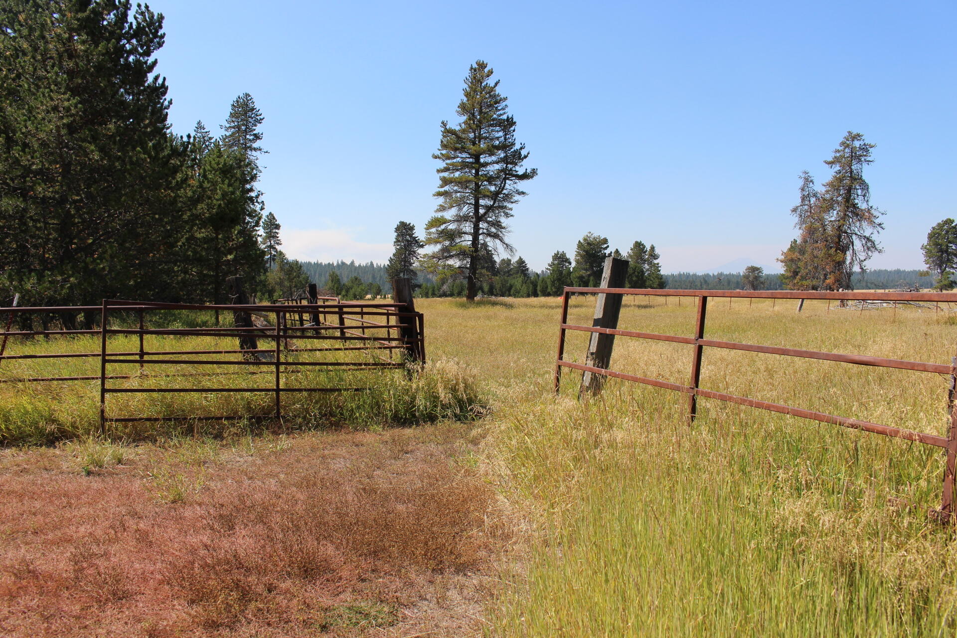 Chiloquin - Farm