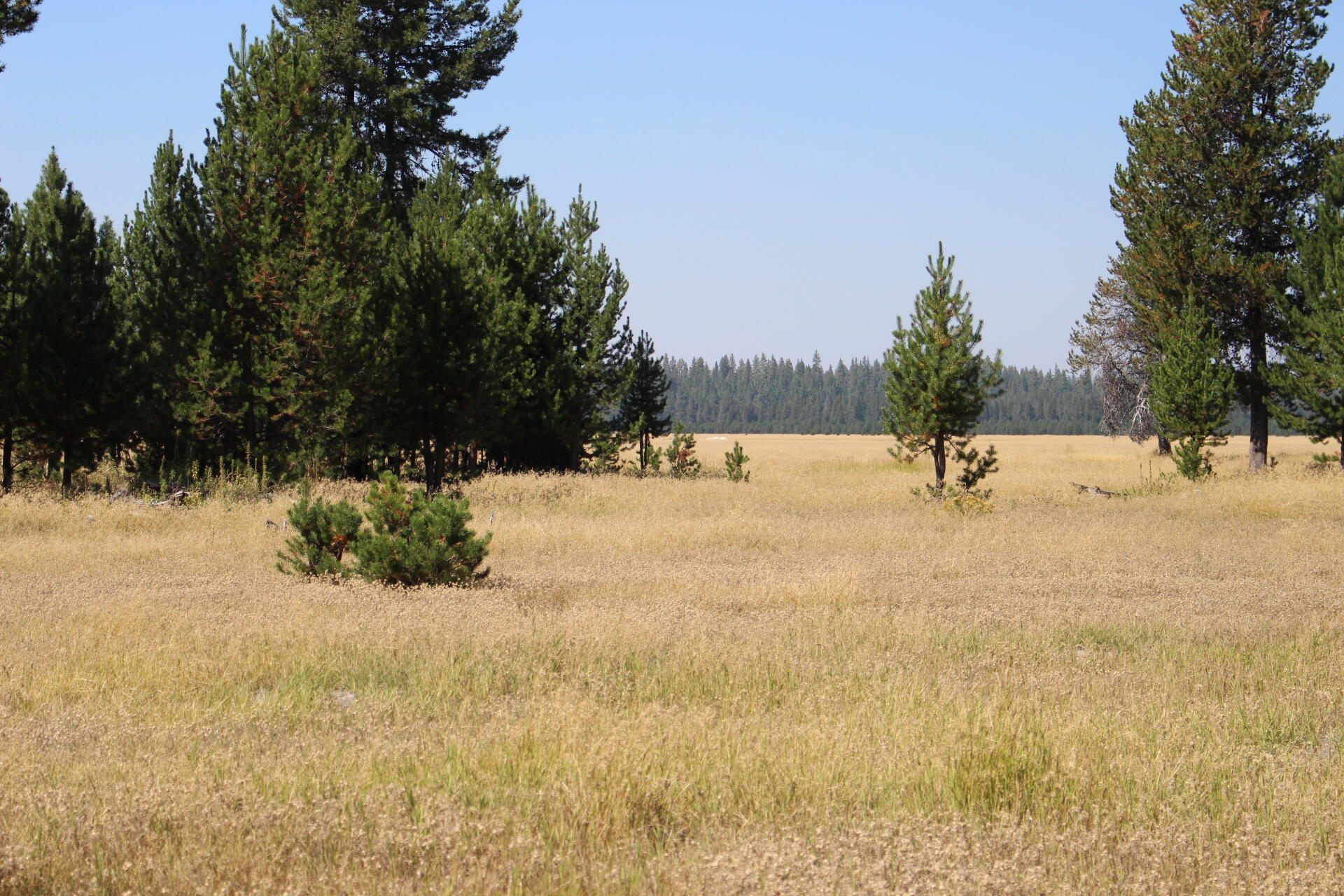 Chiloquin - Farm