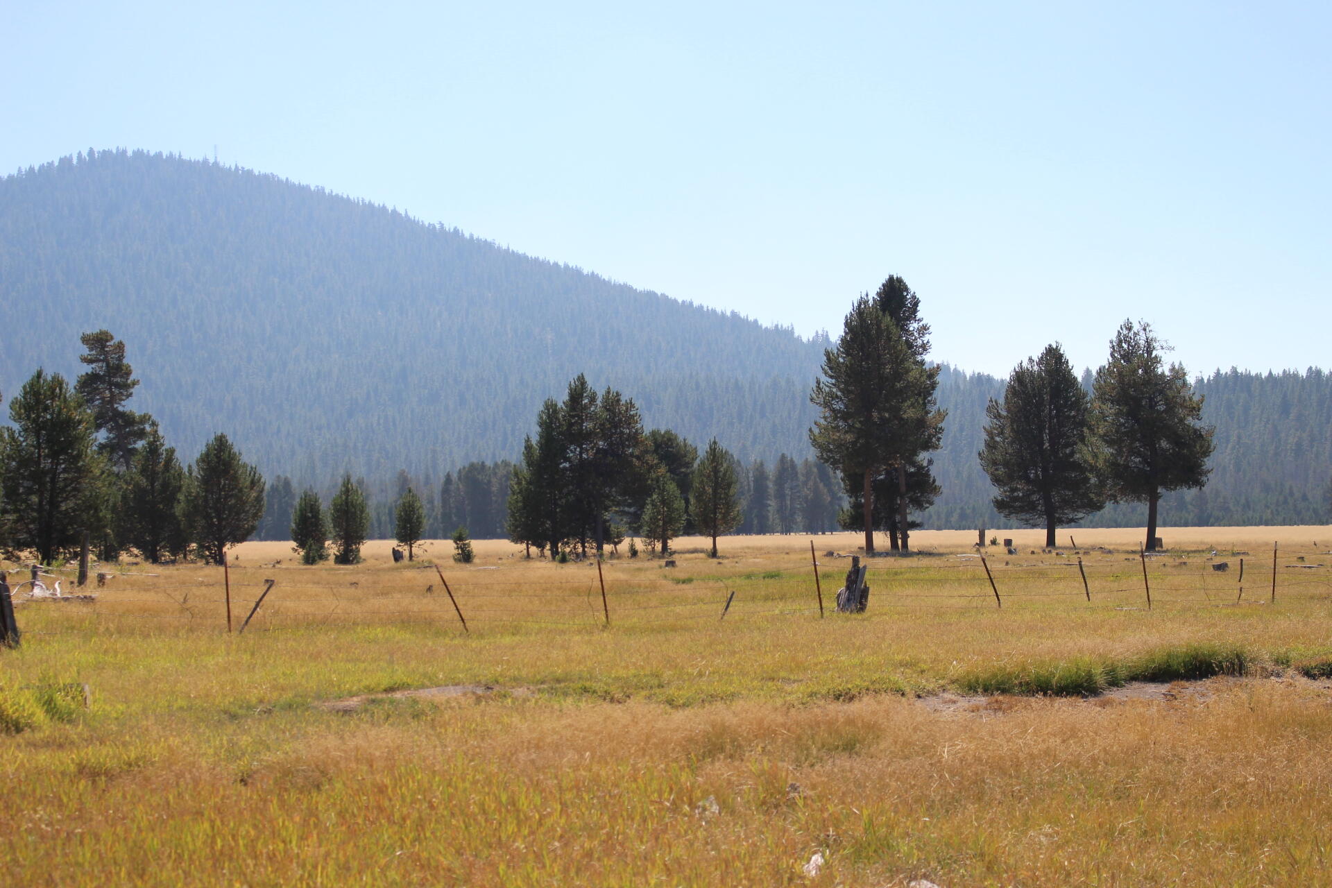 Chiloquin - Farm