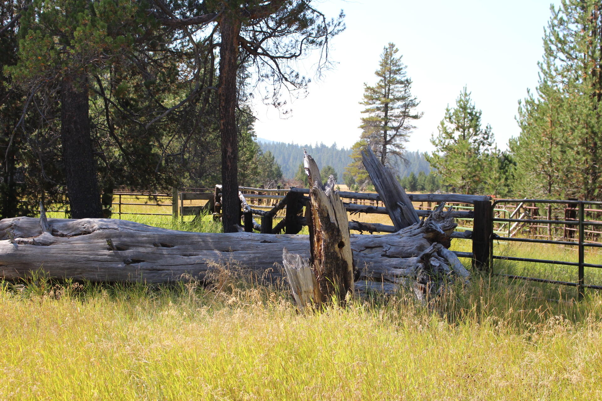 Chiloquin - Farm