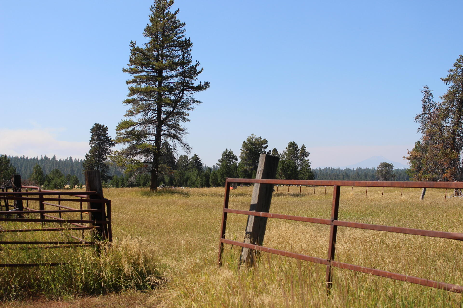 Chiloquin - Farm
