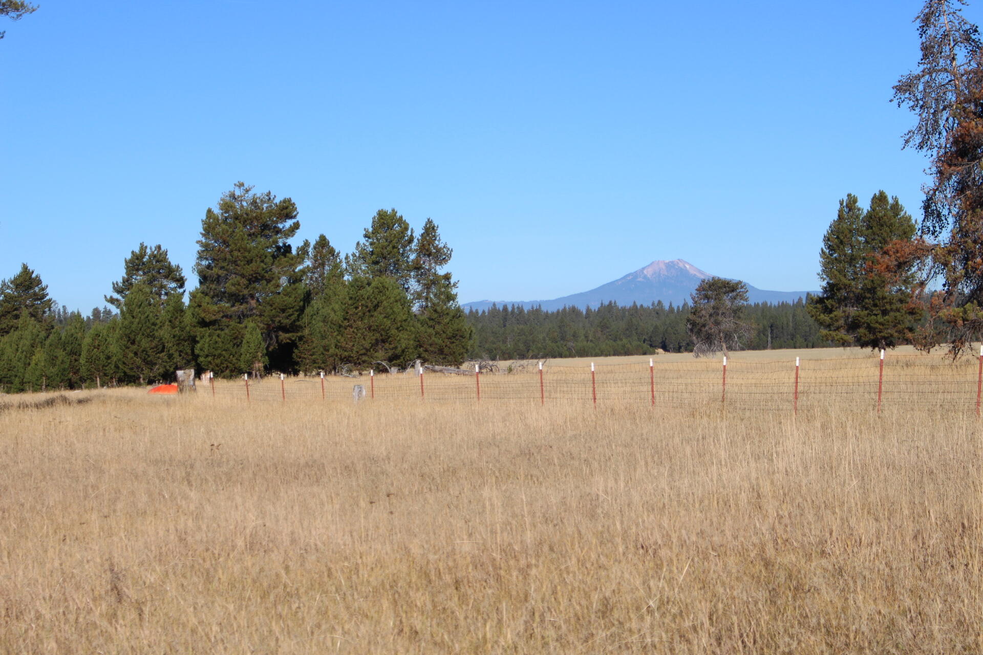 Chiloquin - Farm