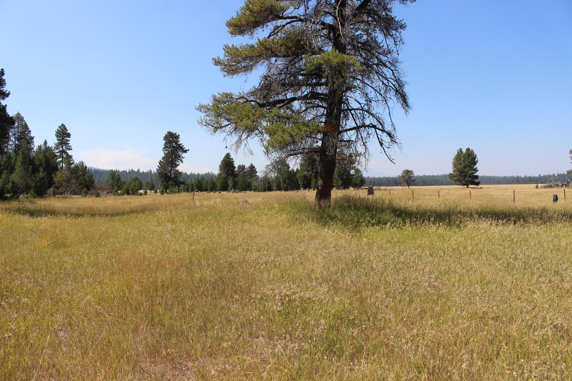 Chiloquin - Farm