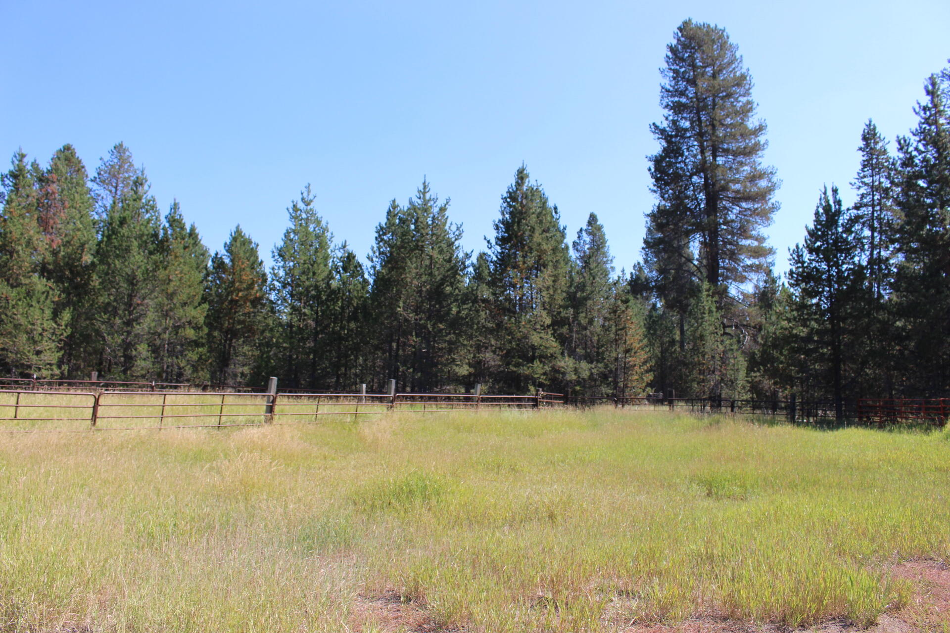 Chiloquin - Farm