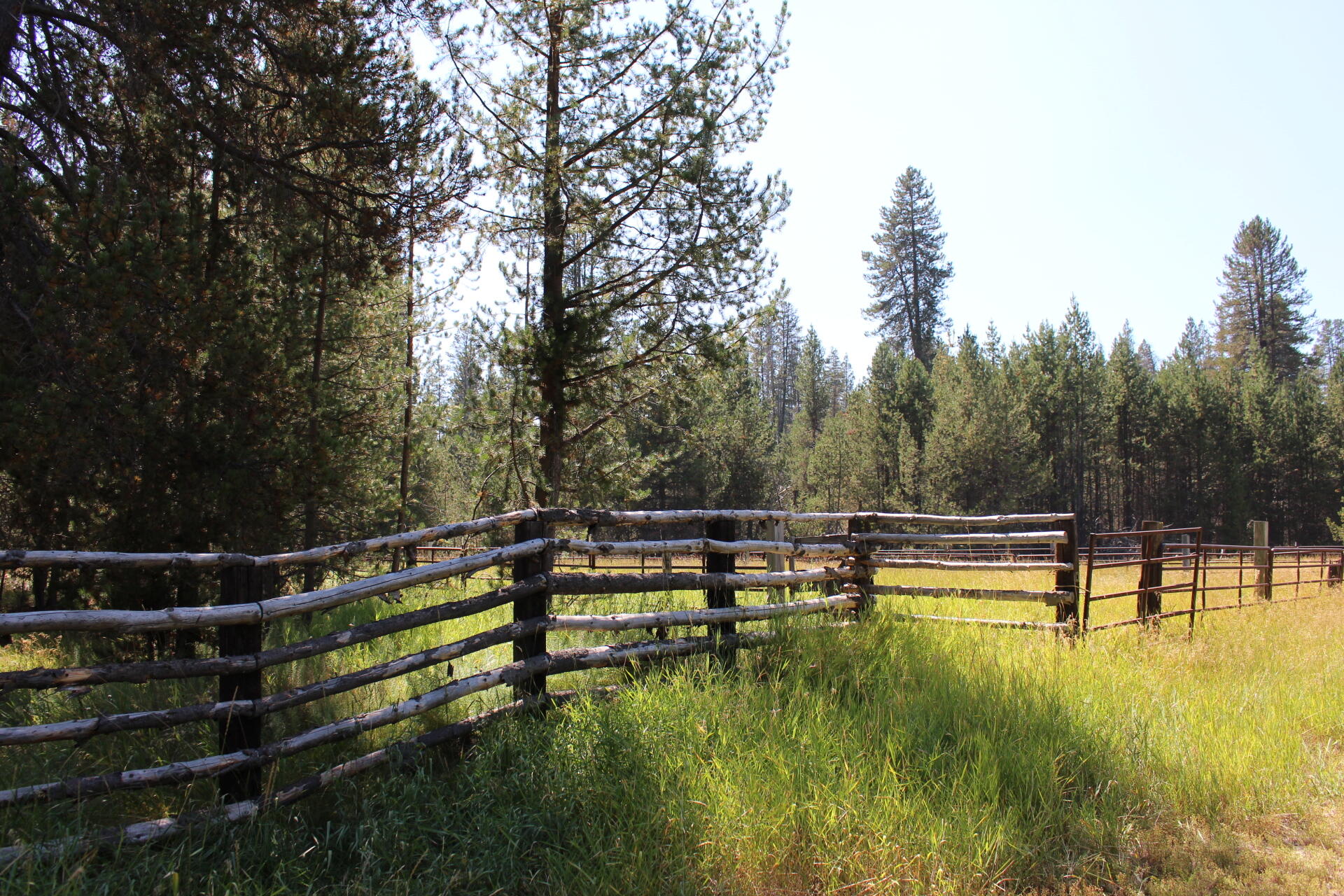 Chiloquin - Farm