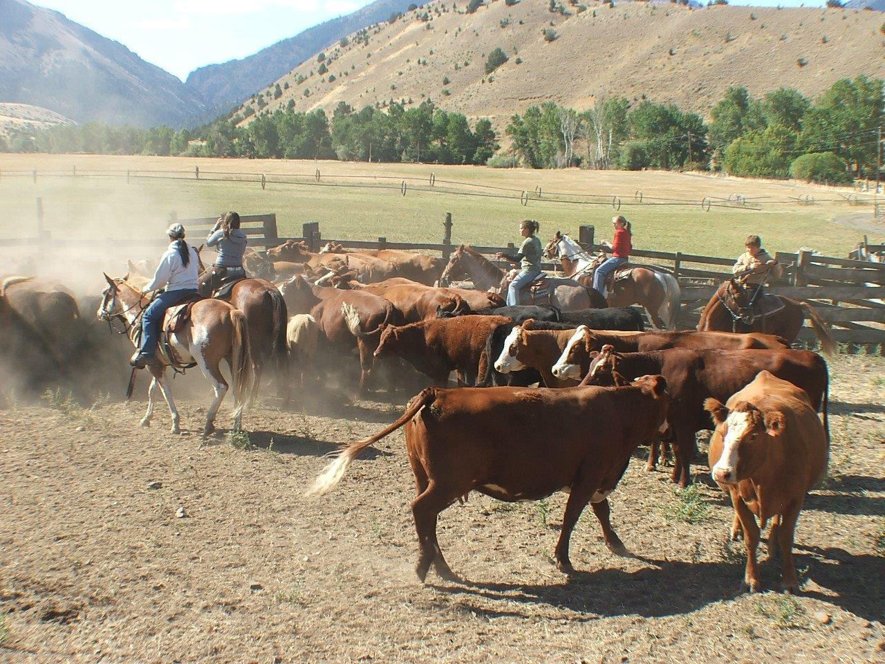 N/A - Farm