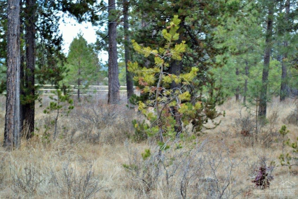 Meadow House - Land