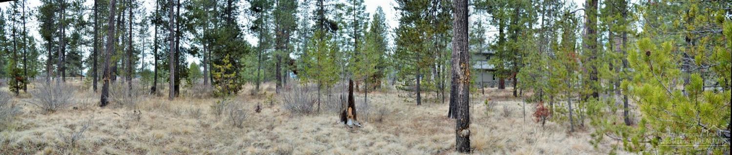 Meadow House - Land