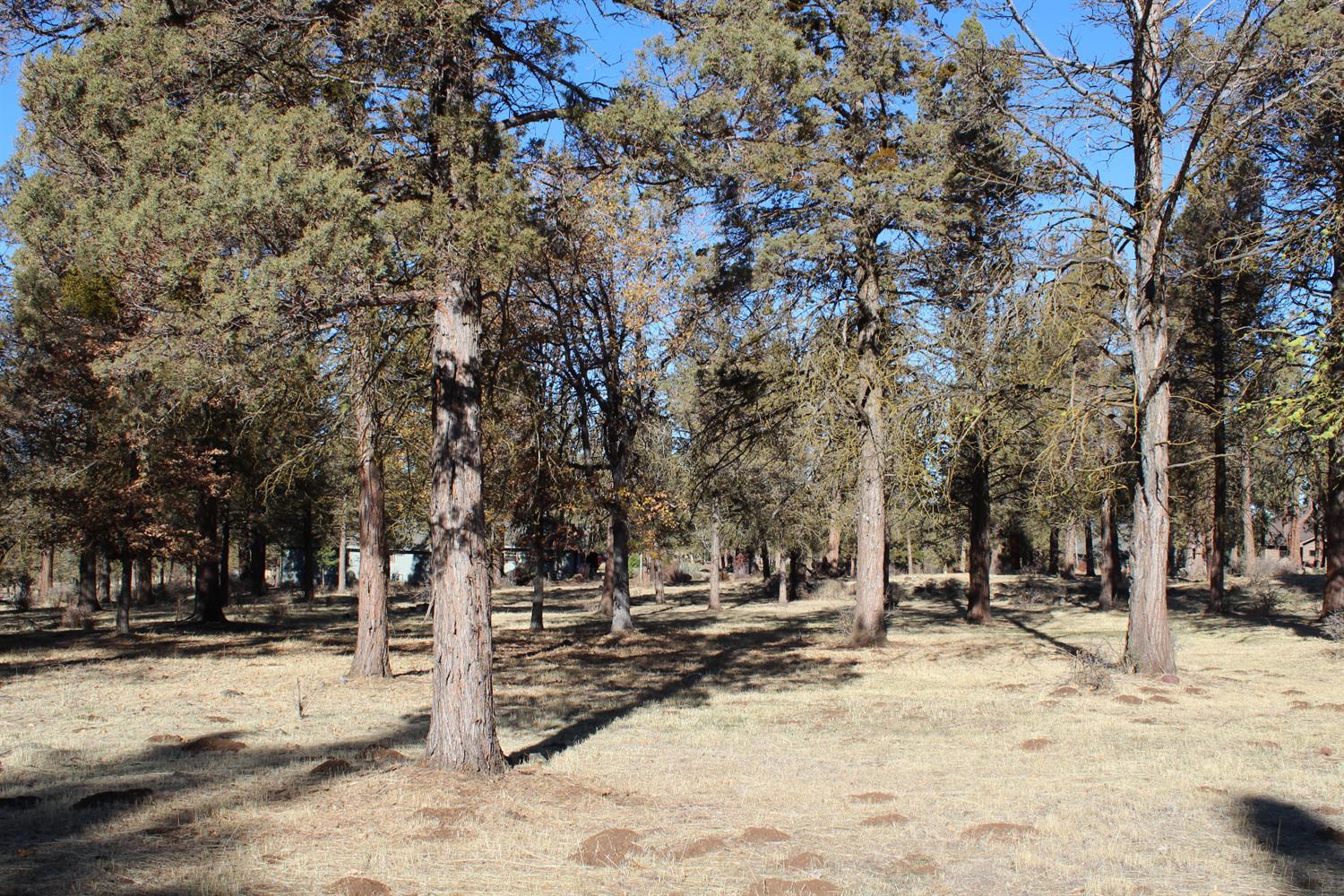 Partially wooded lot in the private gated community.