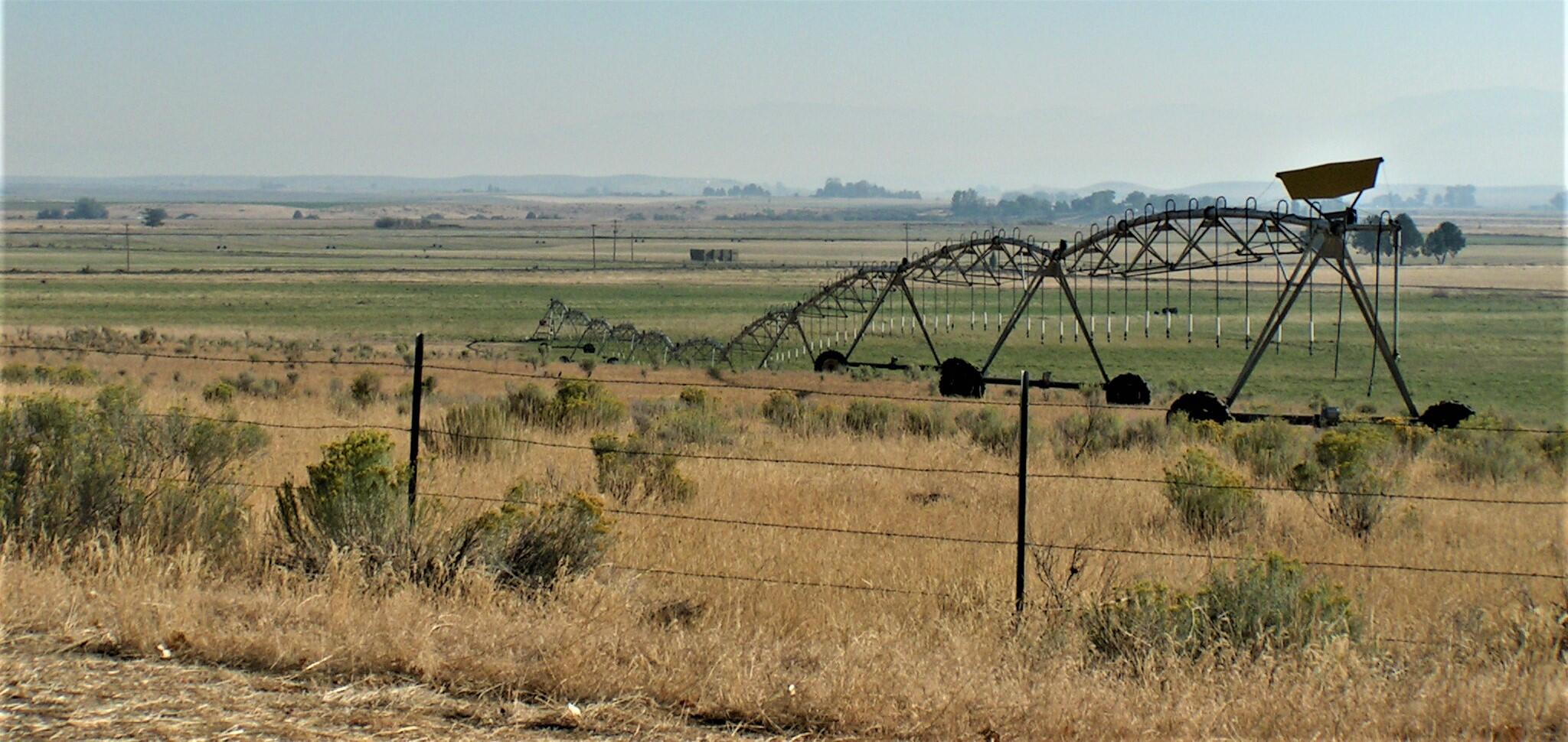 Lake County - Farm