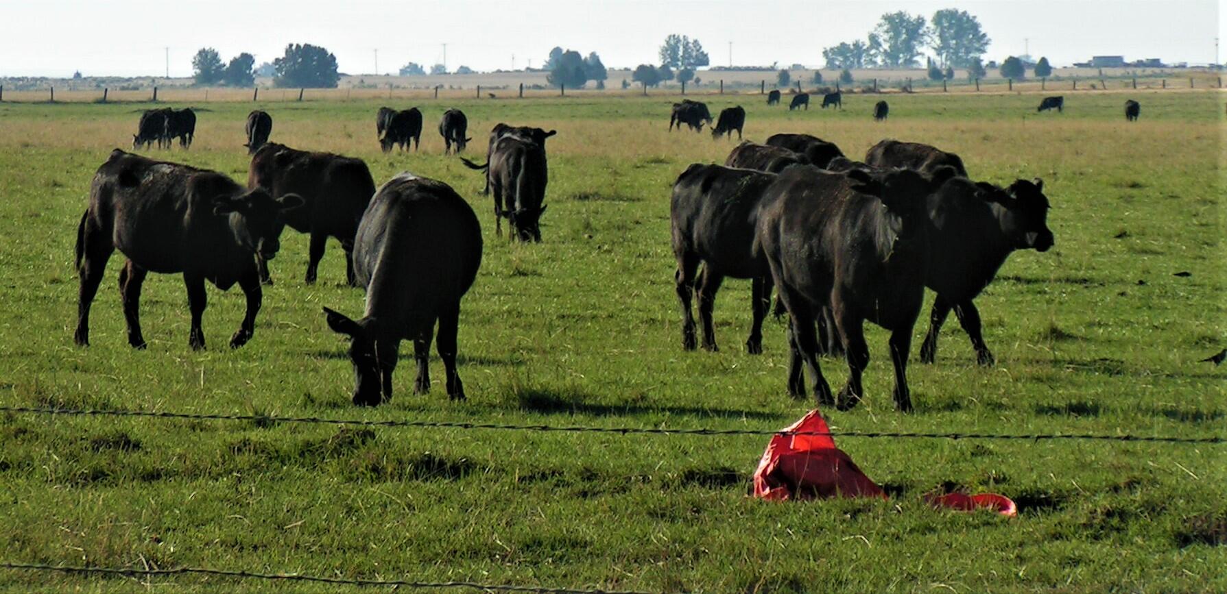 Lake County - Farm