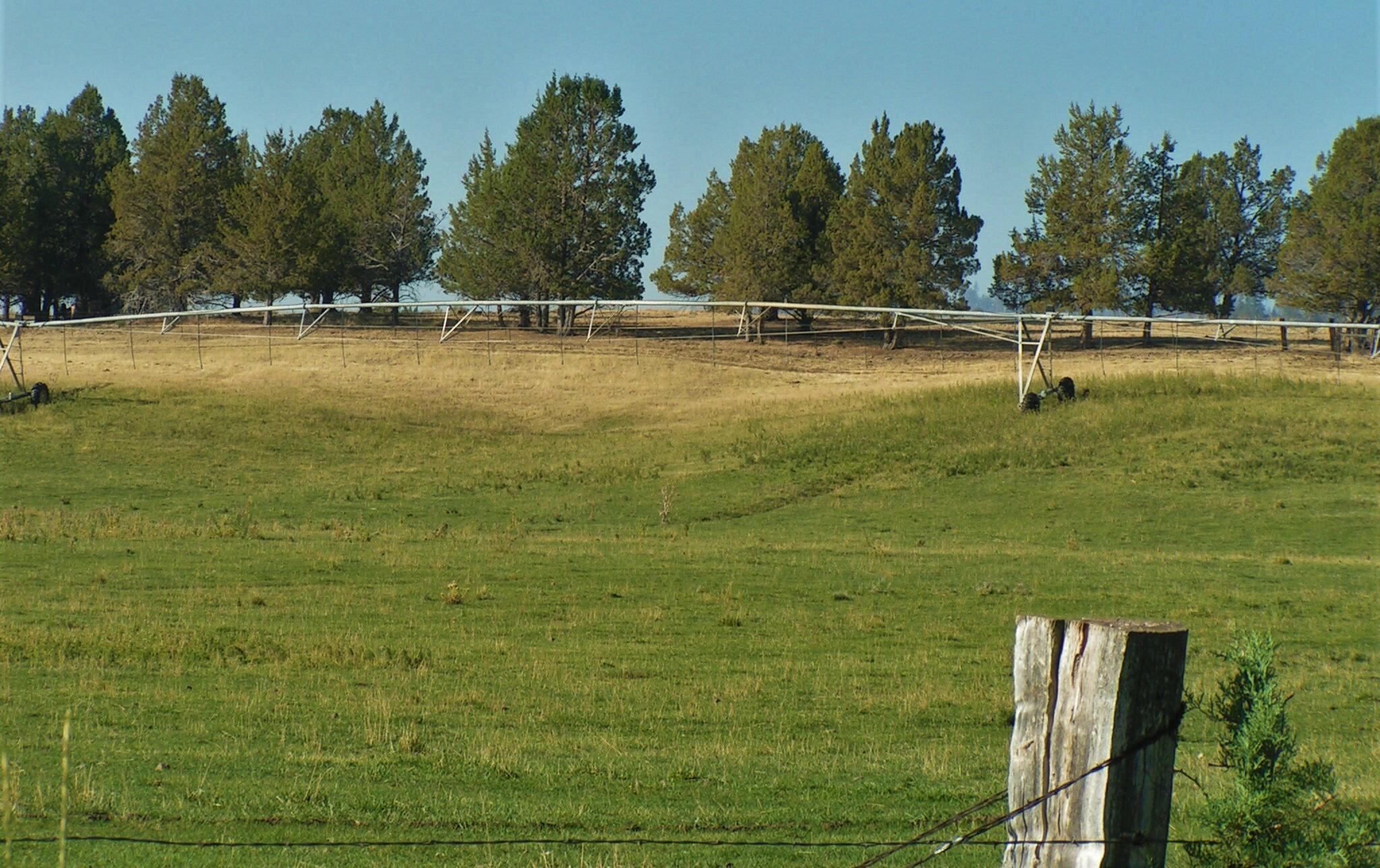 Lake County - Farm