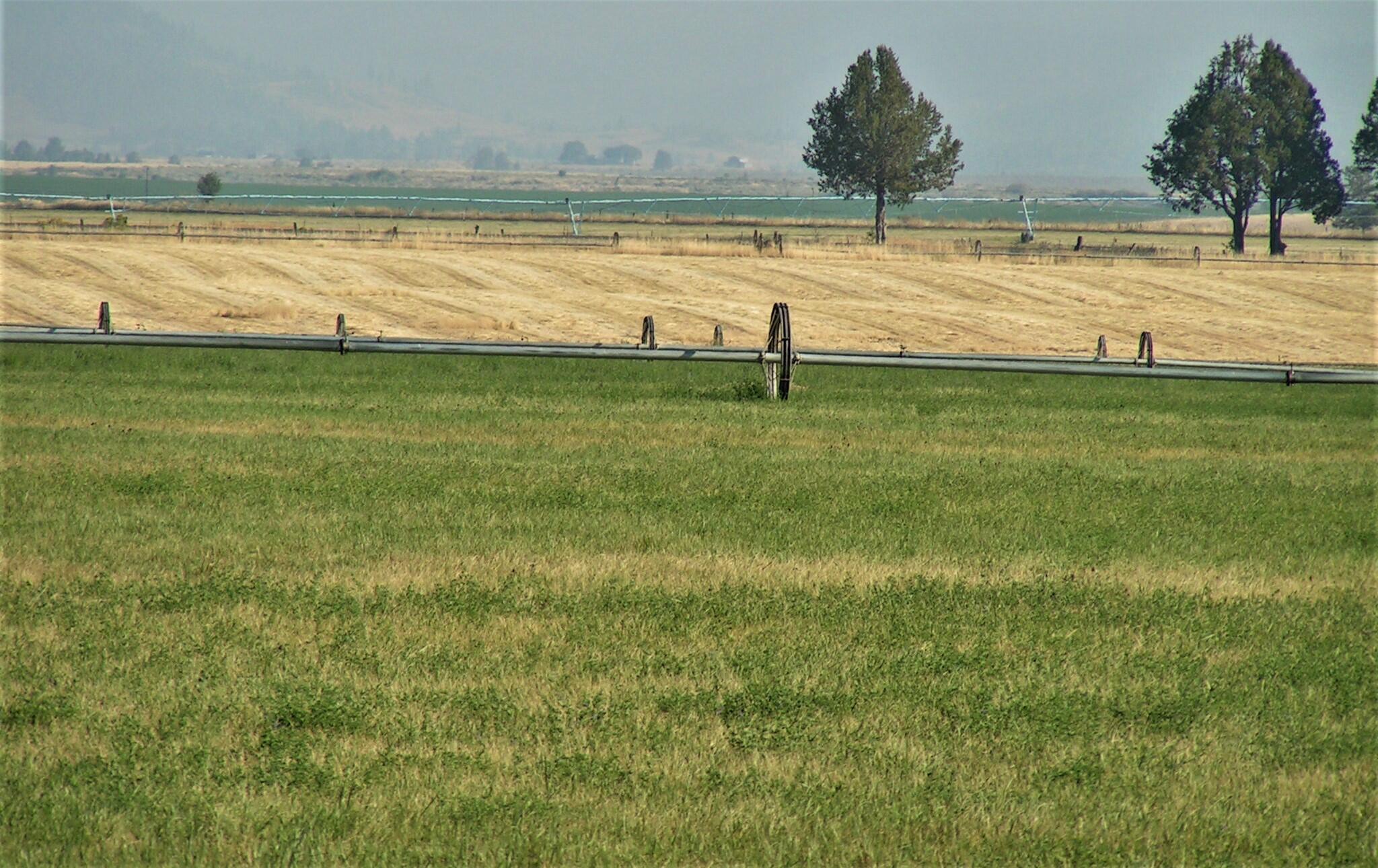 Lake County - Farm