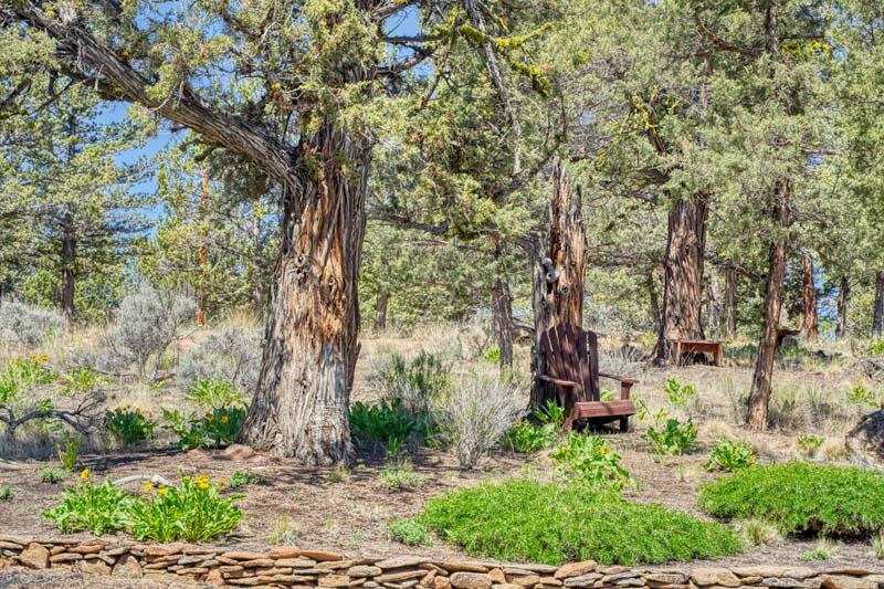 Squaw Creek Canyon - Residential