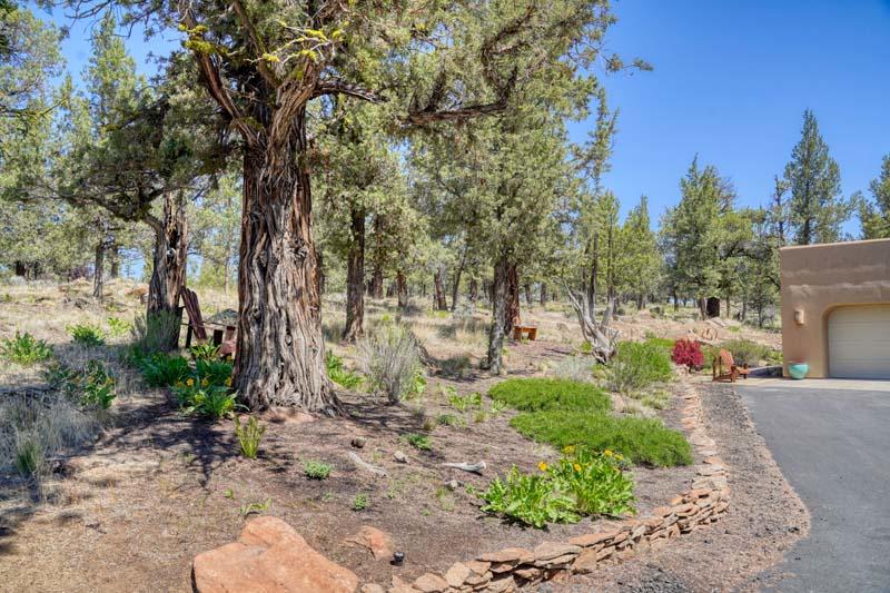 Squaw Creek Canyon - Residential