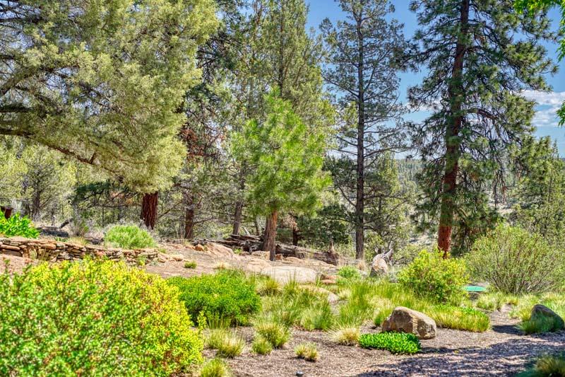 Squaw Creek Canyon - Residential