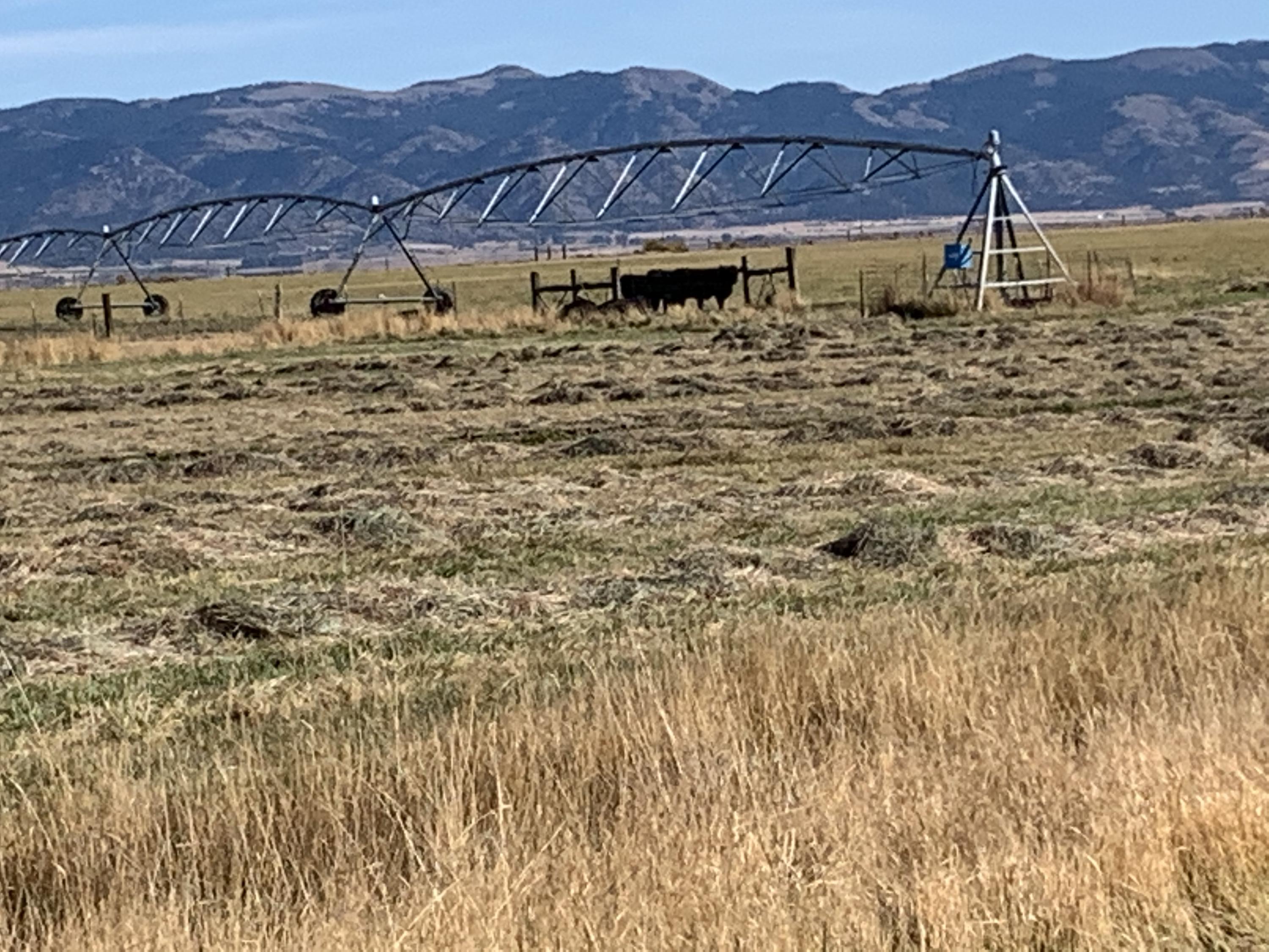Lake County - Farm