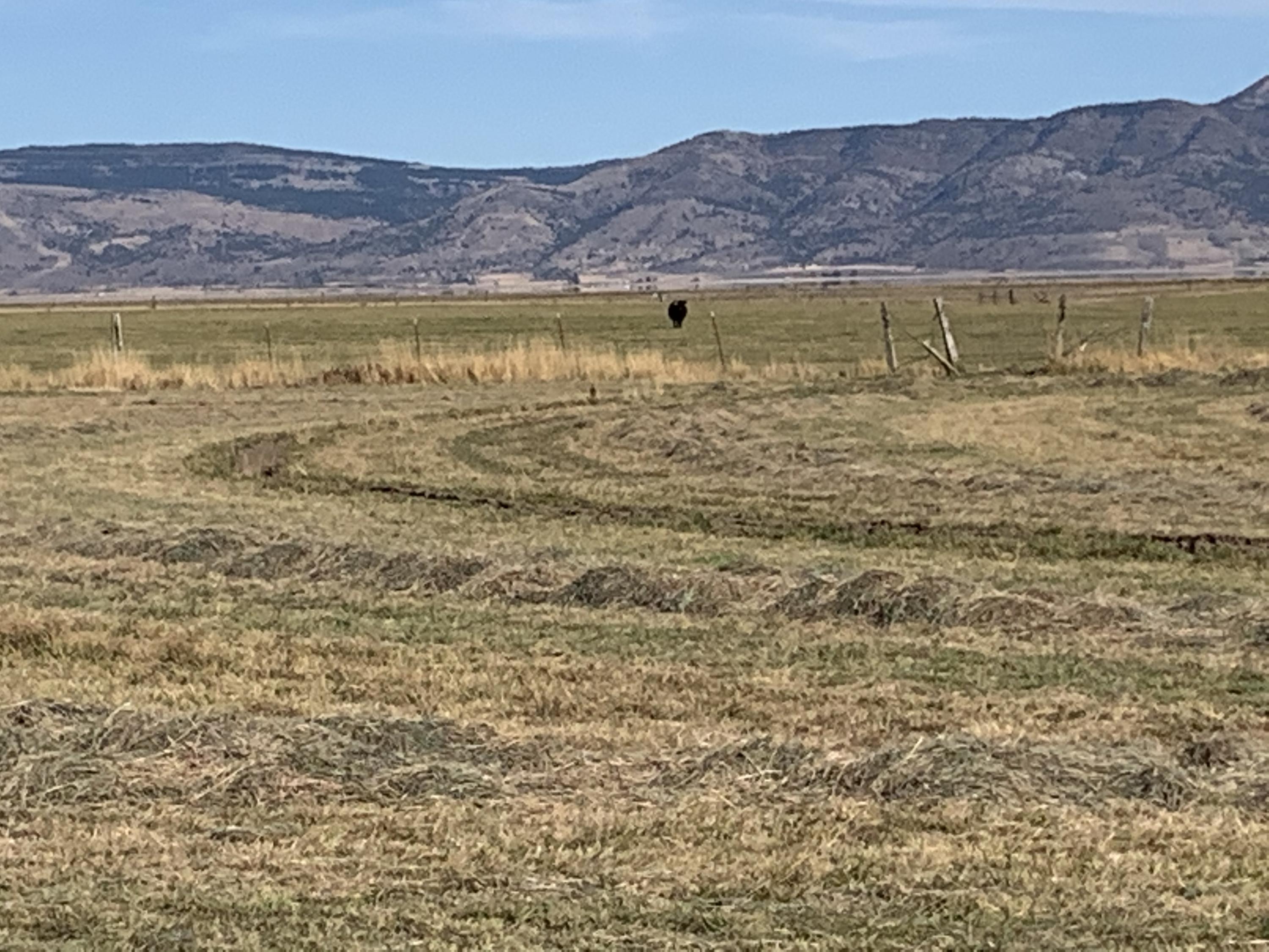 Lake County - Farm