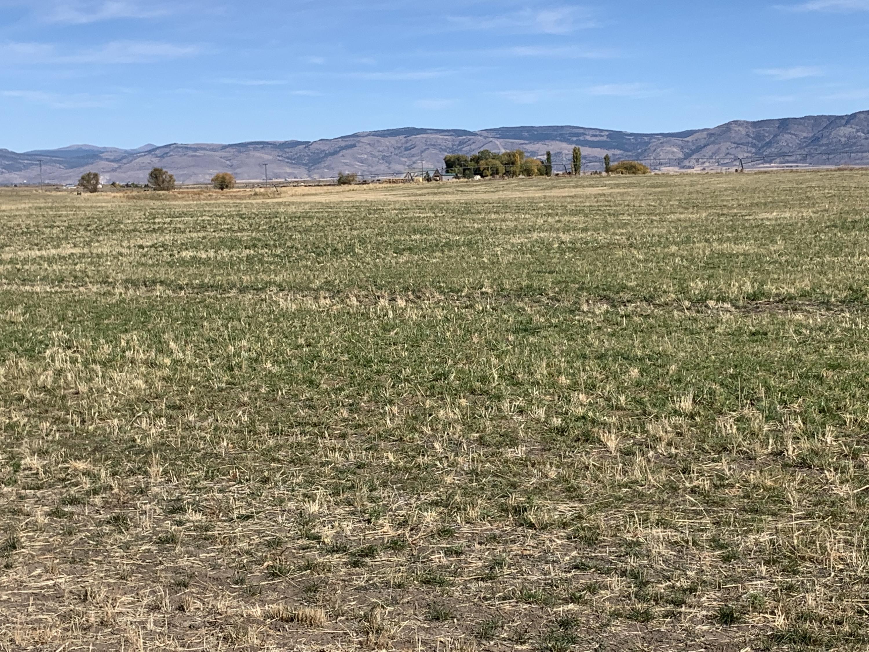 Lake County - Farm